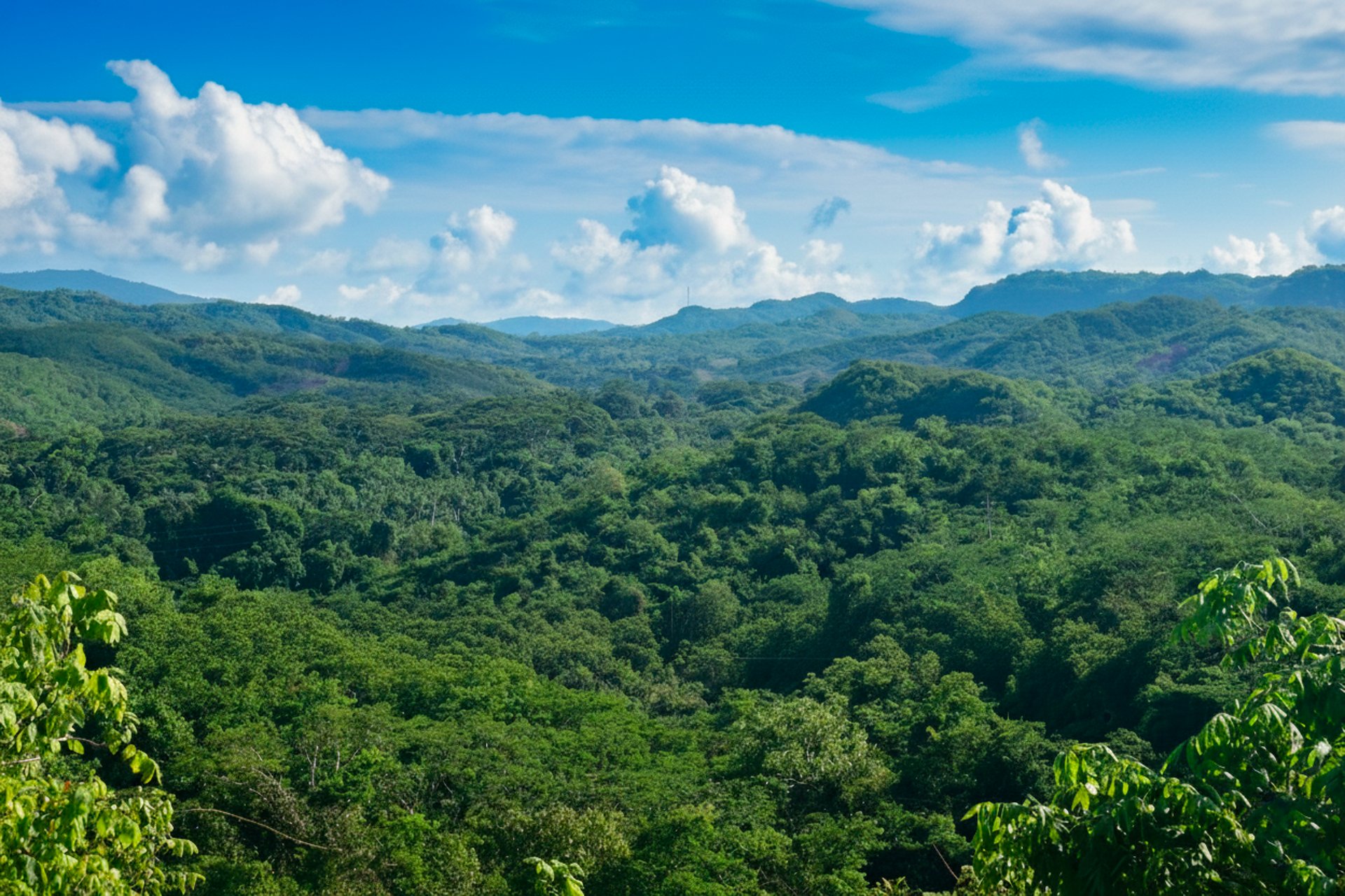 an abstract photo of a curved building with a blue sky in the background