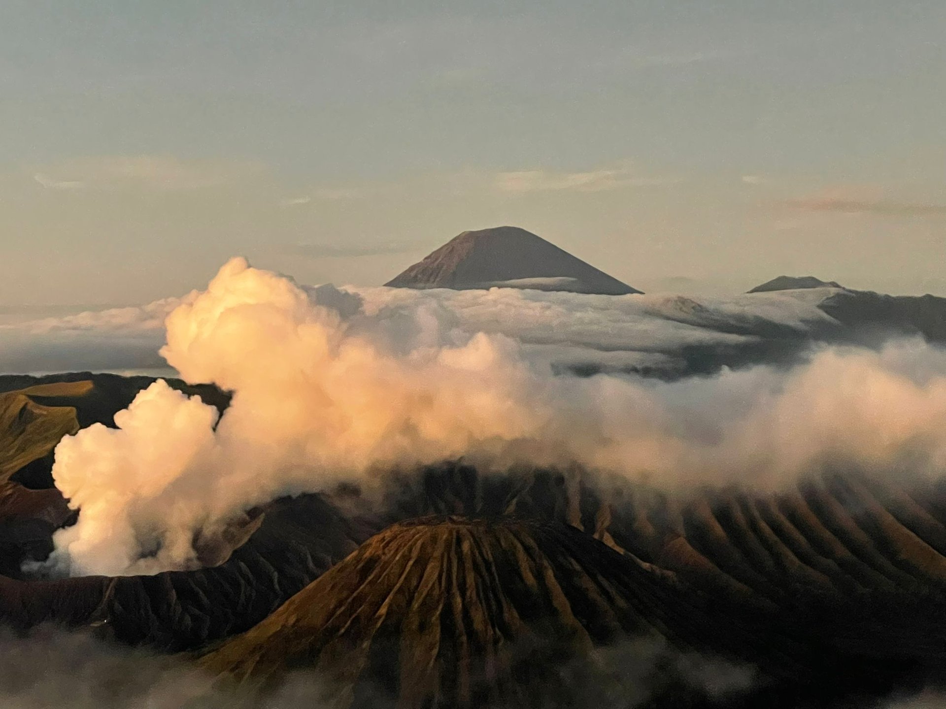 black and brown leather padded tub sofa