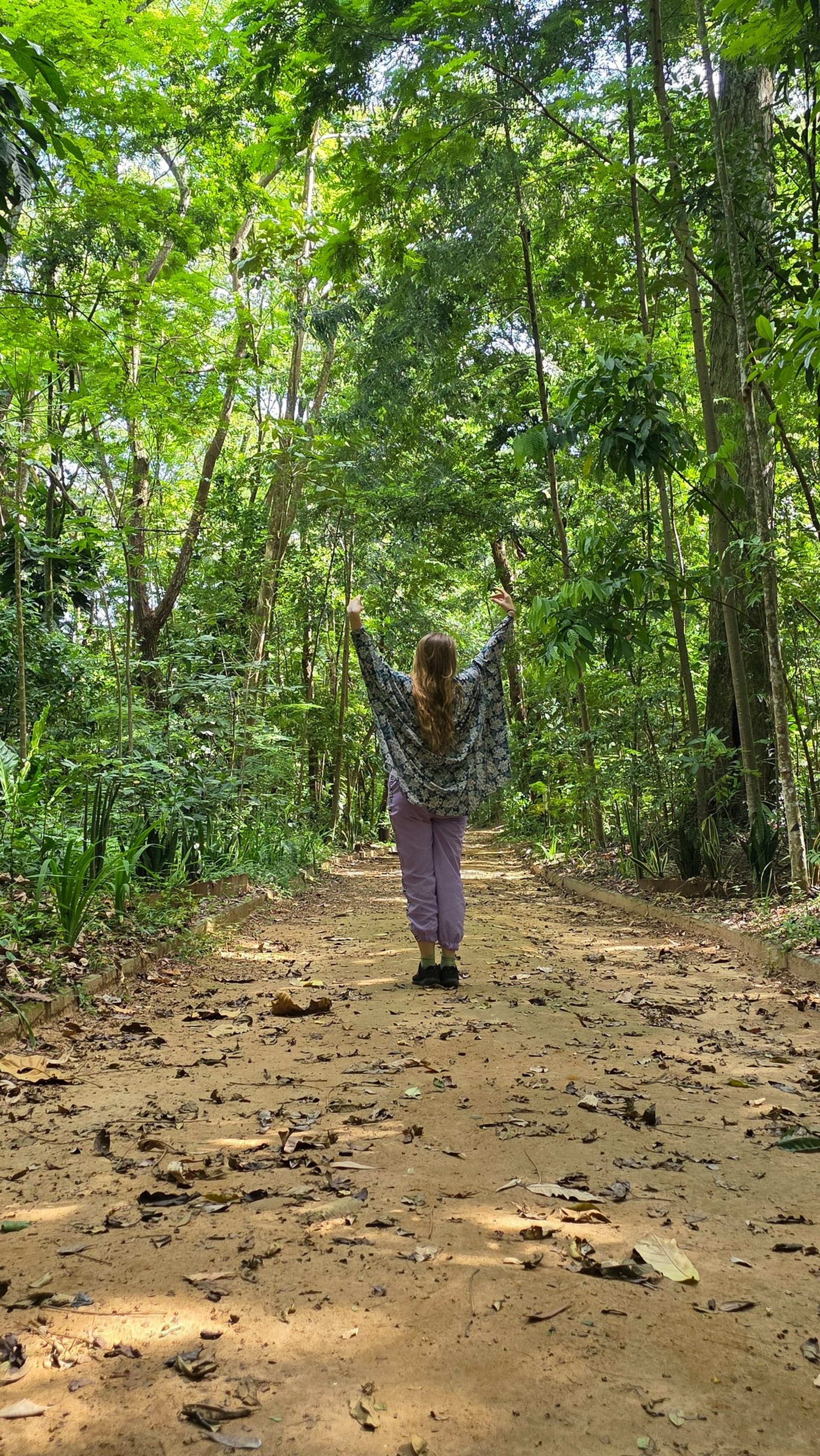 black and brown leather padded tub sofa