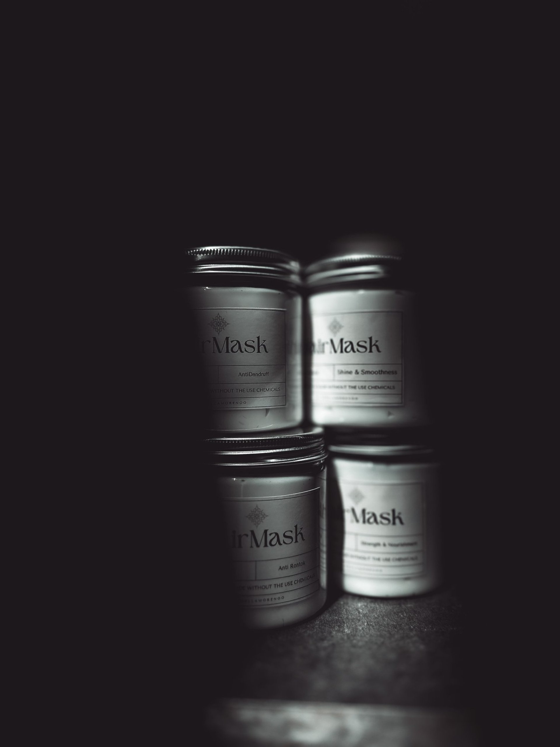 green fern plant in black background