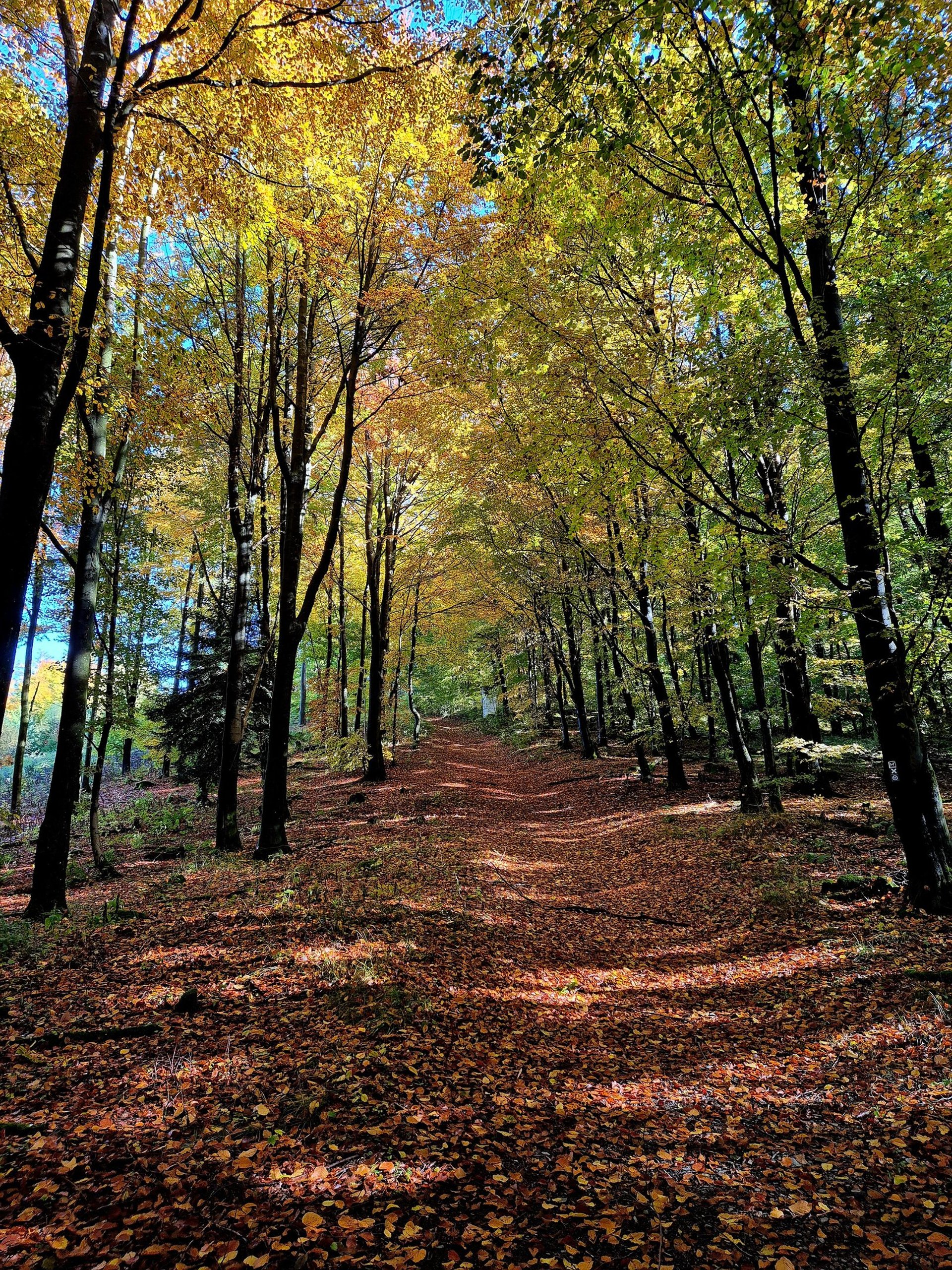 gray computer monitor