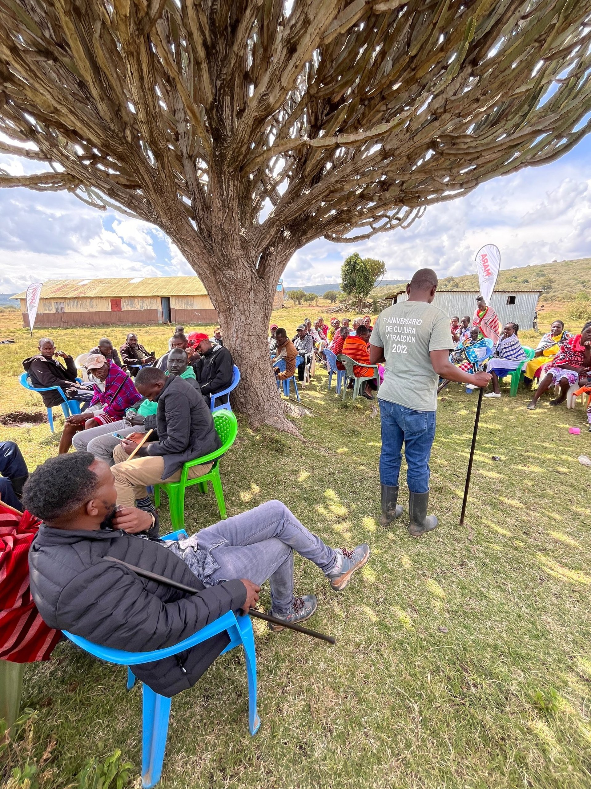 an abstract photo of a curved building with a blue sky in the background