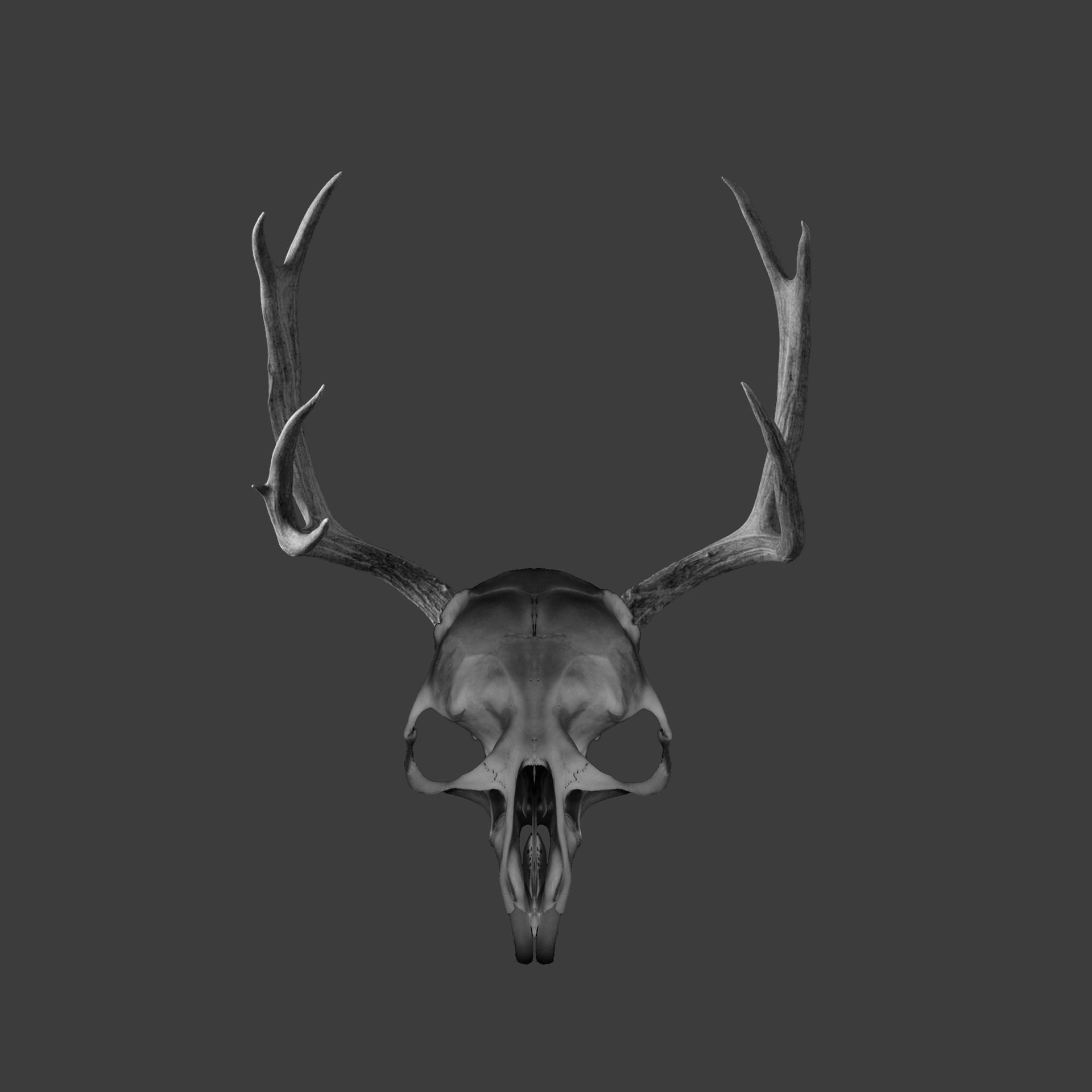 Abstract textured background with gray and blue tones