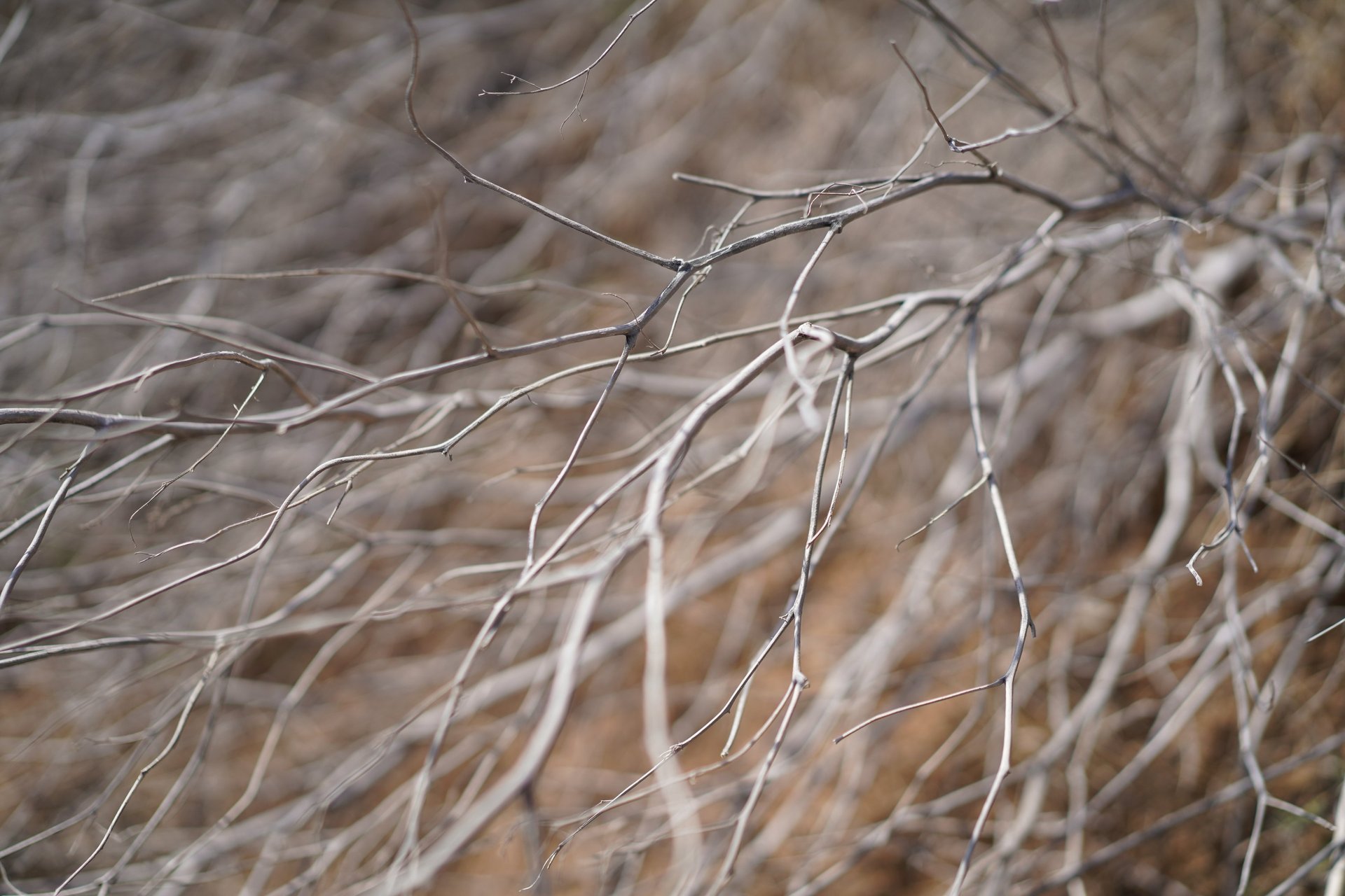 gray computer monitor
