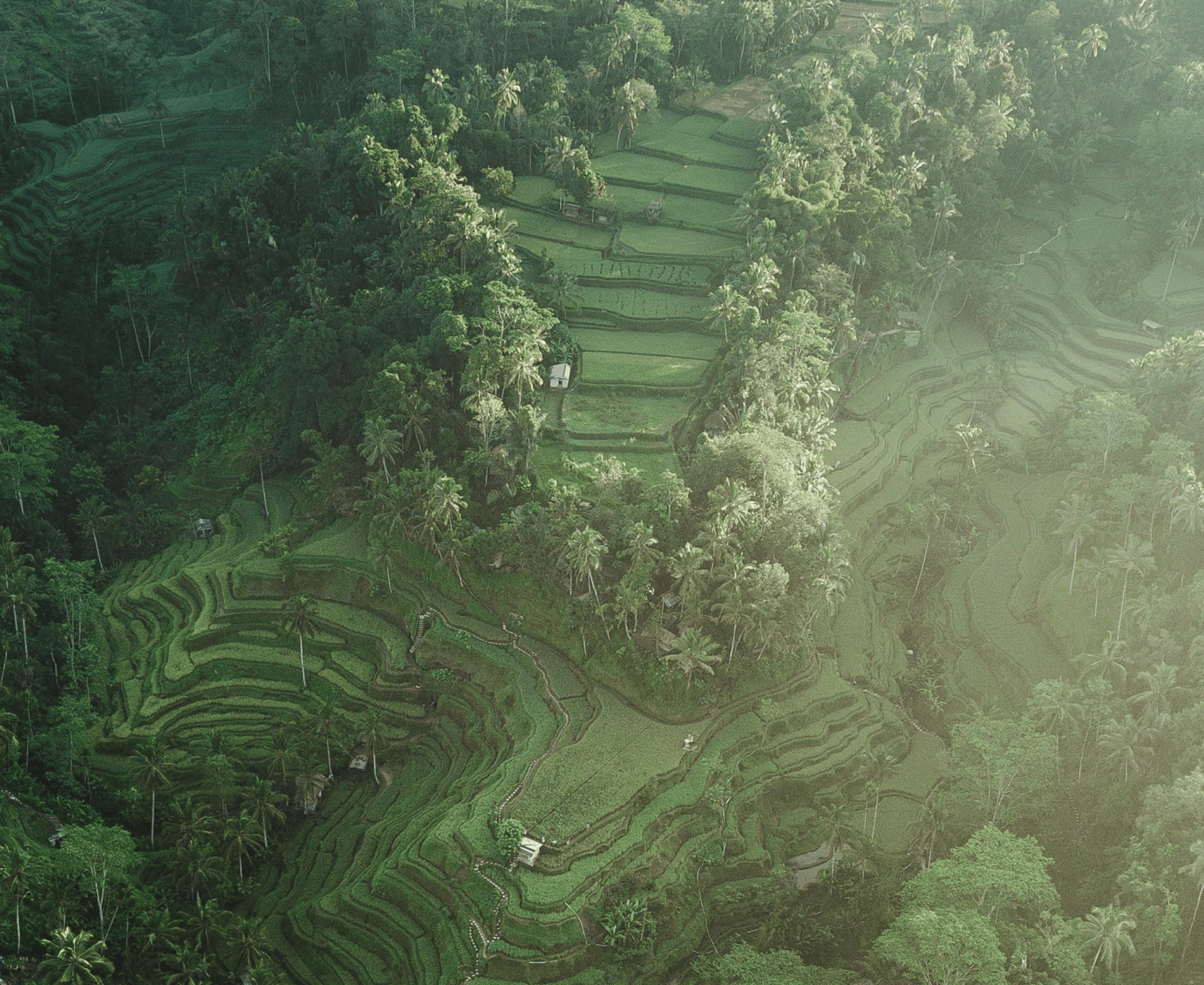 view of pagoda temple