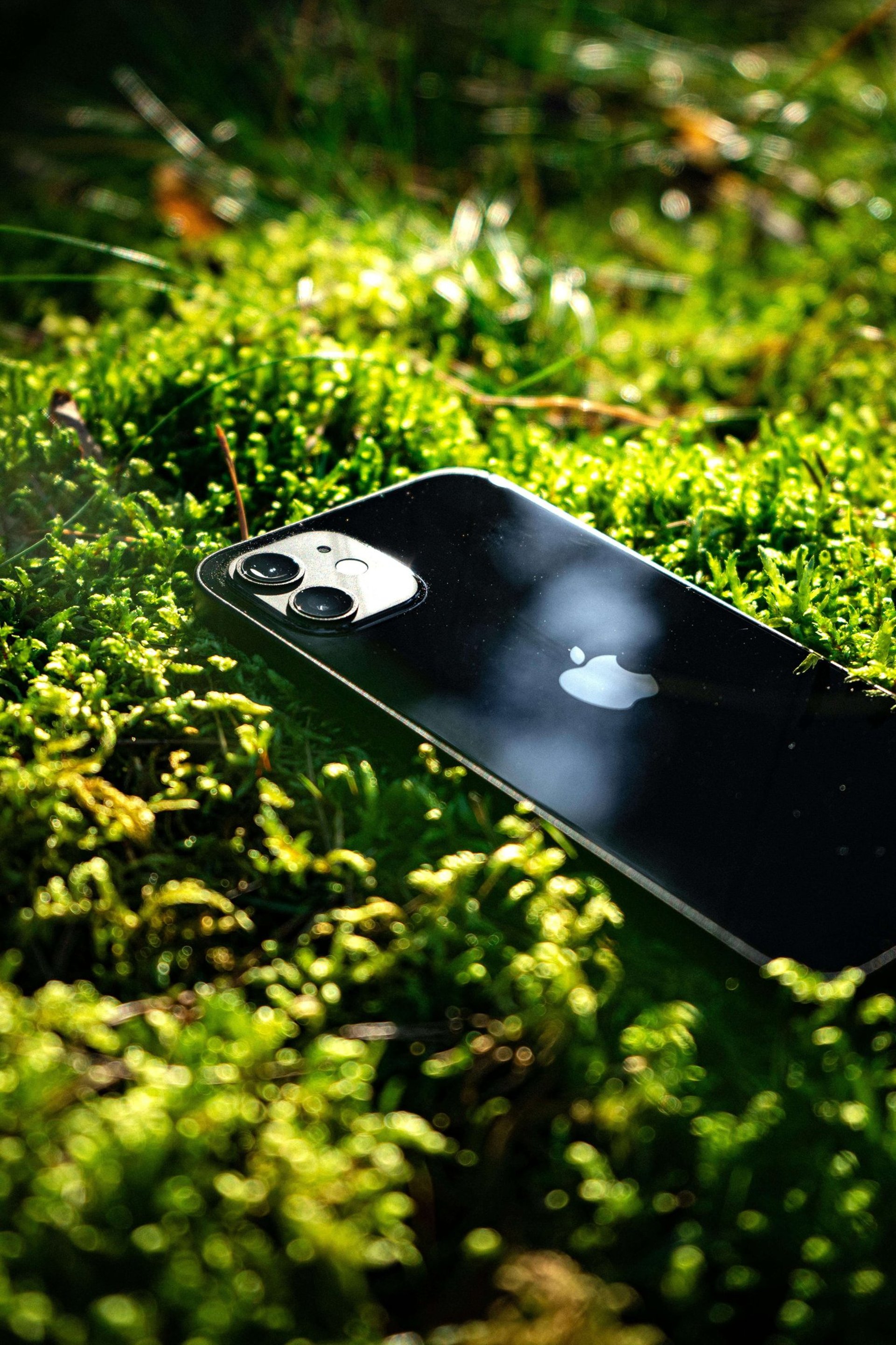 iPhone Km0 negro sobre musgo verde, destacando la sostenibilidad y la integración de la tecnología con la naturaleza.