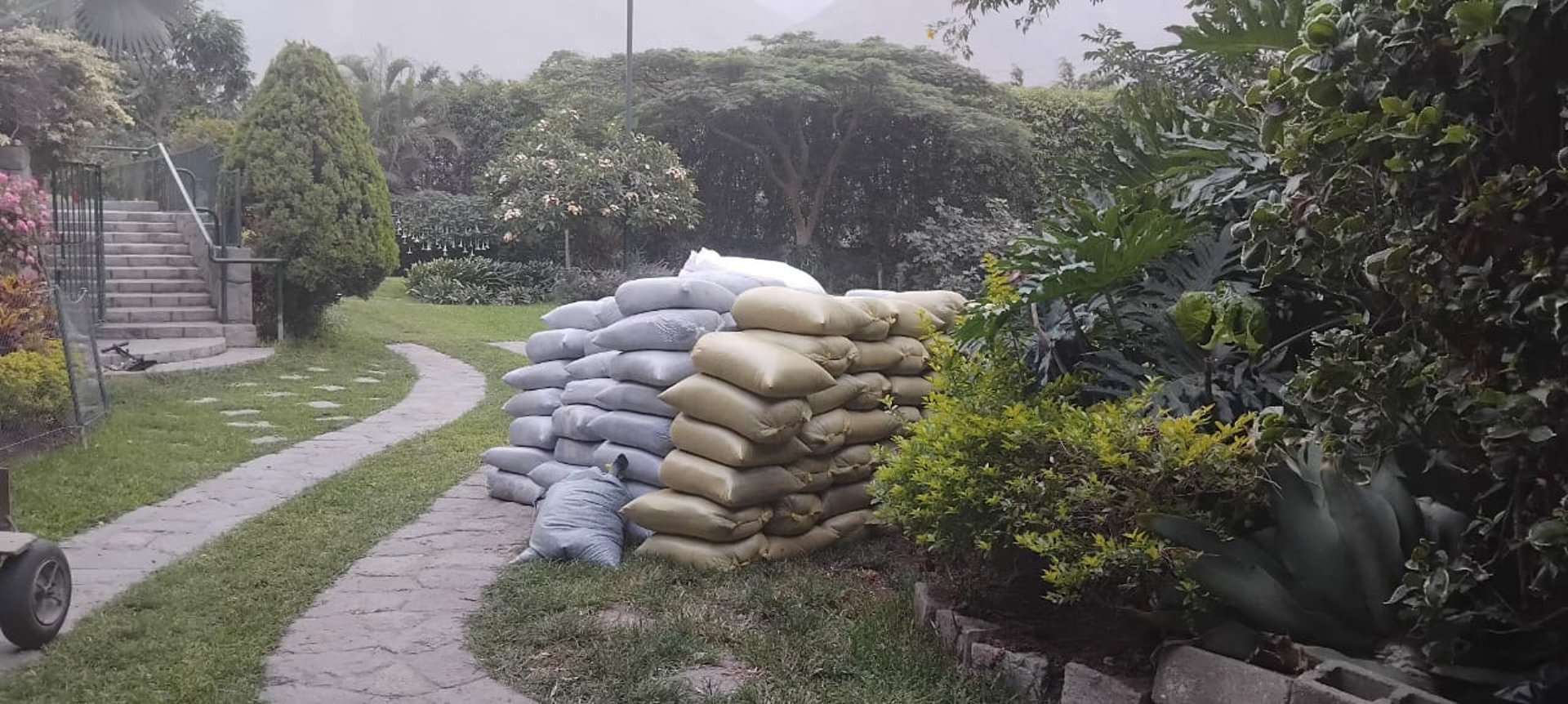black and white bed linen