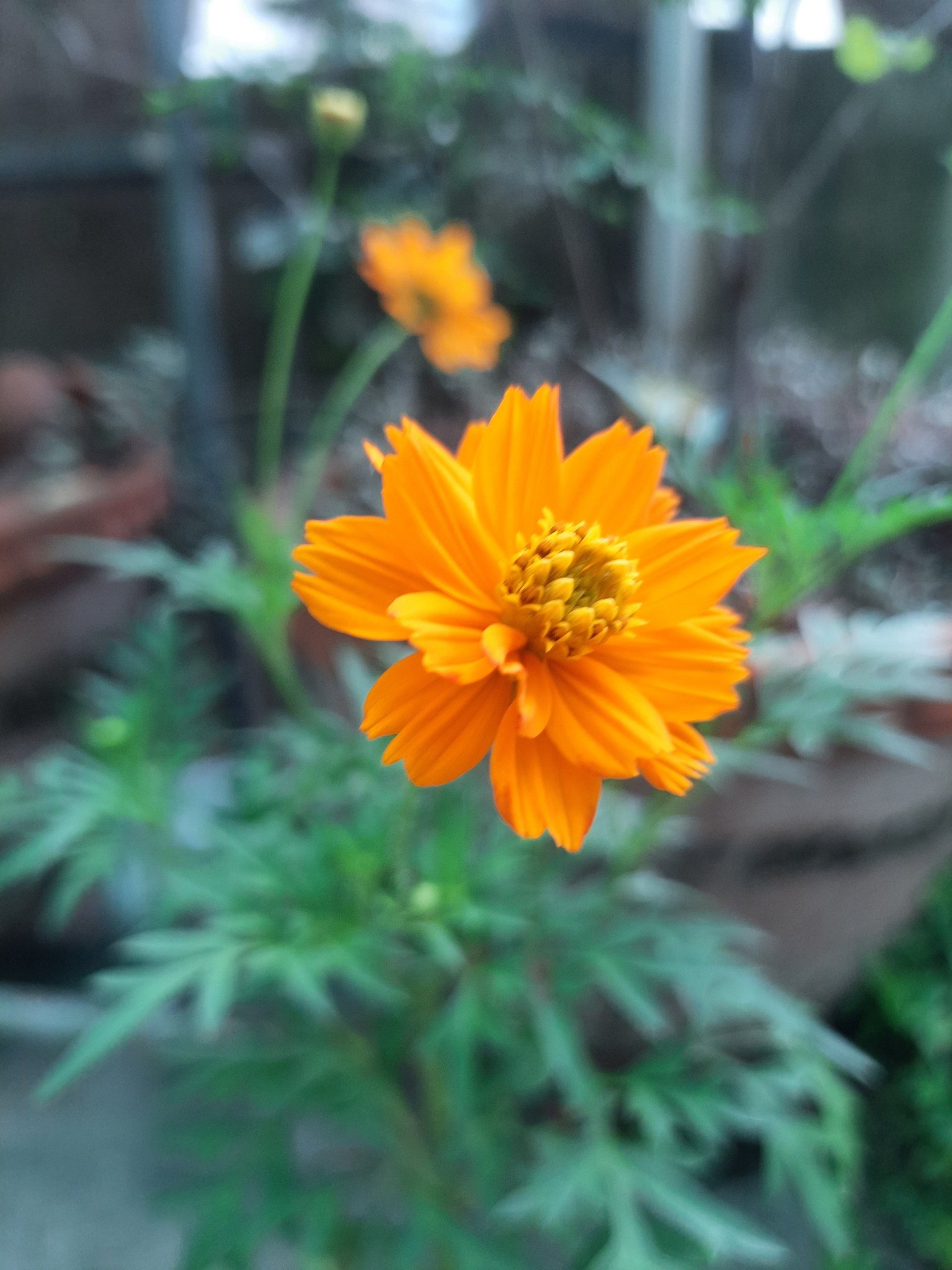 black blue and yellow textile