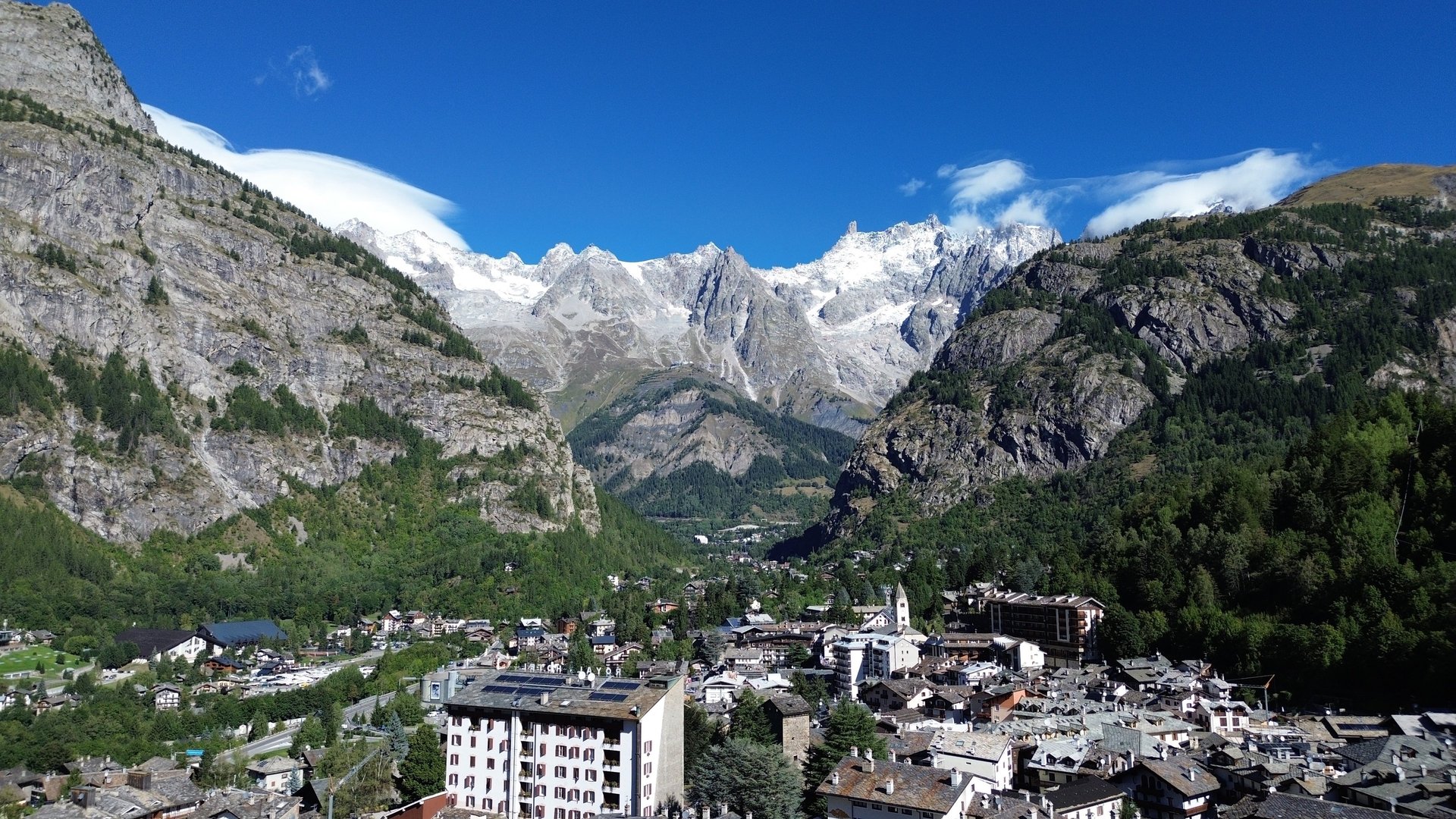black blue and yellow textile