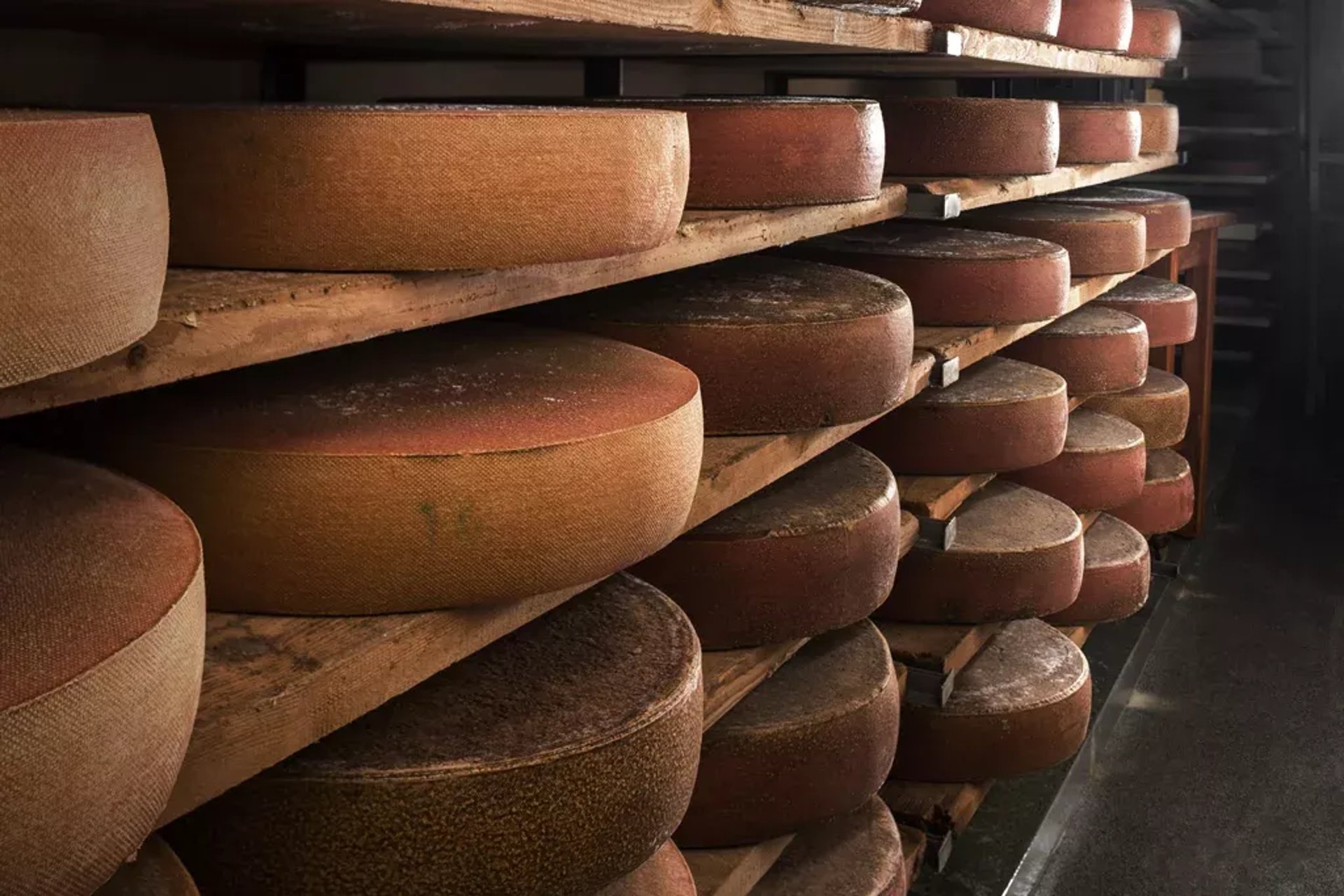 a bunch of cheese stacked on top of each other