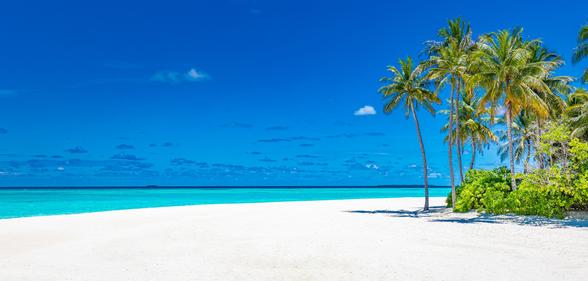 playa blanca beach in punta cana dominican republic