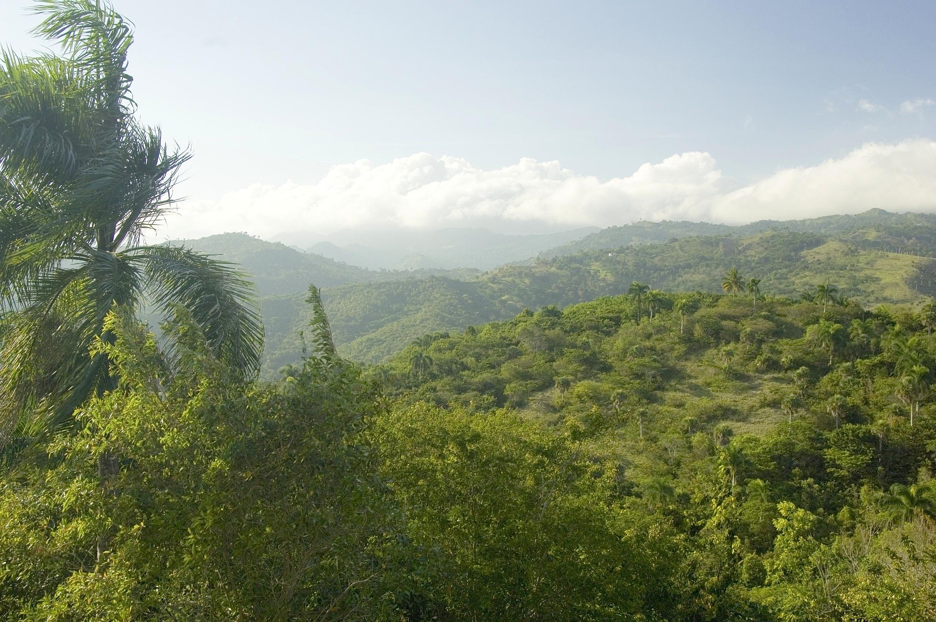 Scenic mountain view in Jarabacoa, Dominican Republic, with lush green hills, palm trees, and cloudy sky