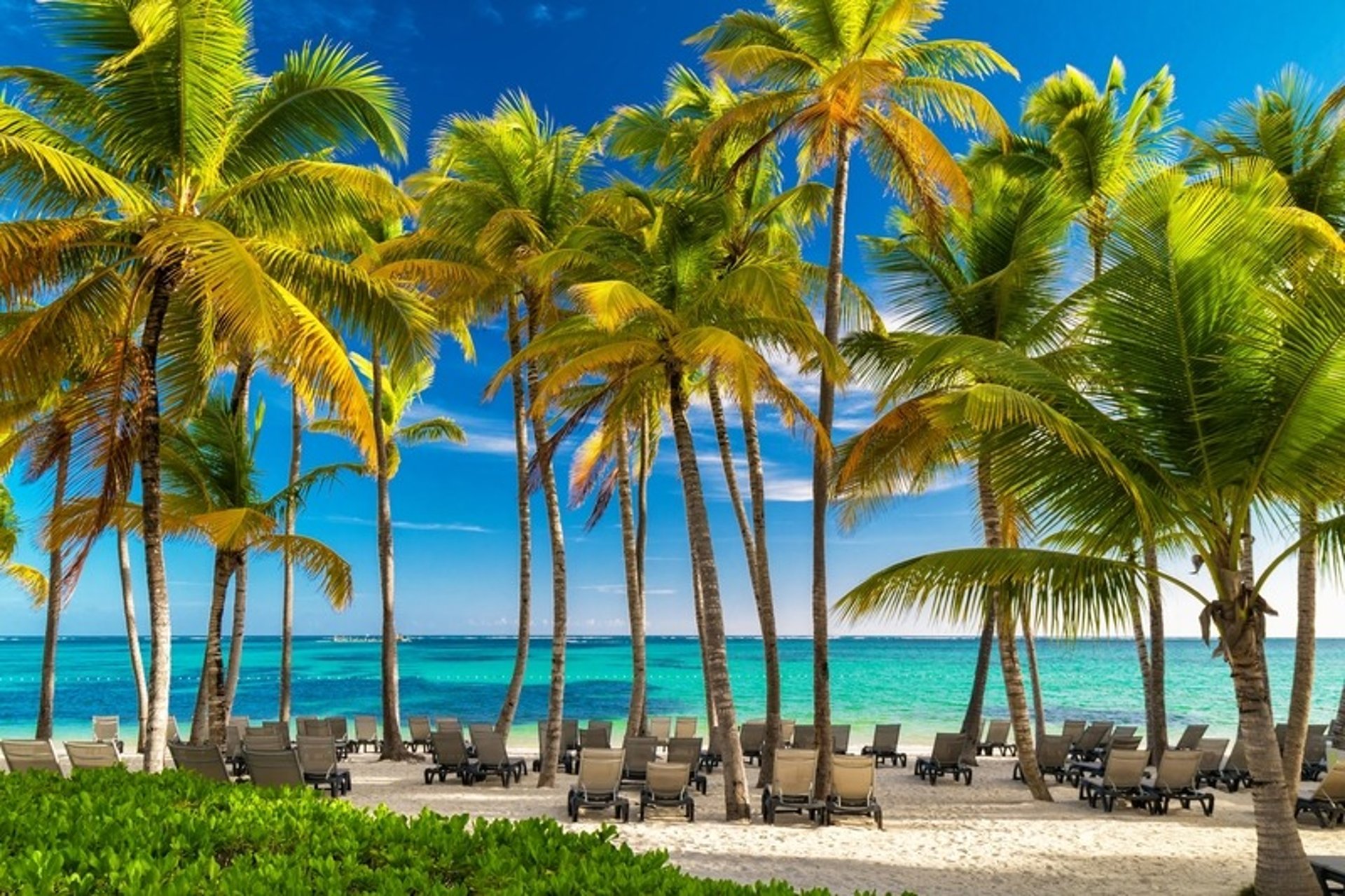 Tropical beach in Punta Cana with palm trees, lounge chairs, and turquoise Caribbean Sea