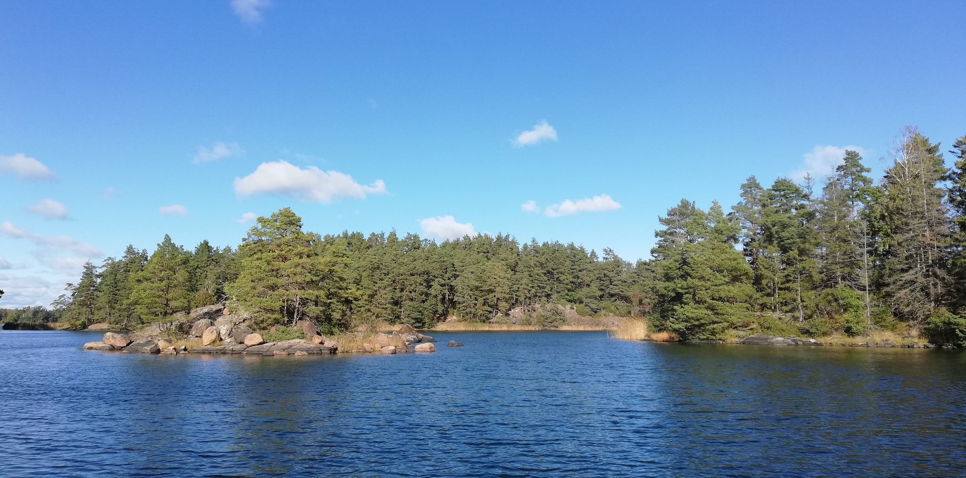 lac et forets suédoise. beau lac parfait pour pêcher le brochet en suède