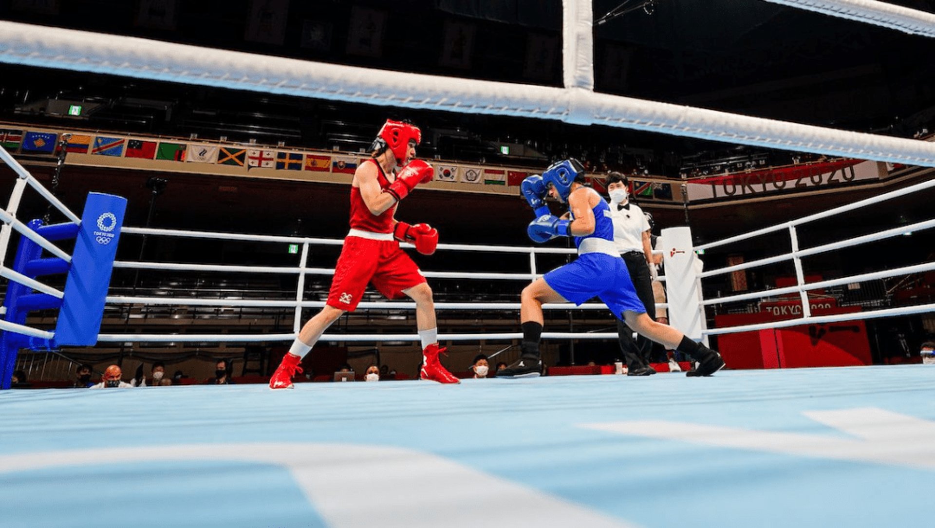 a person in a boxing ring