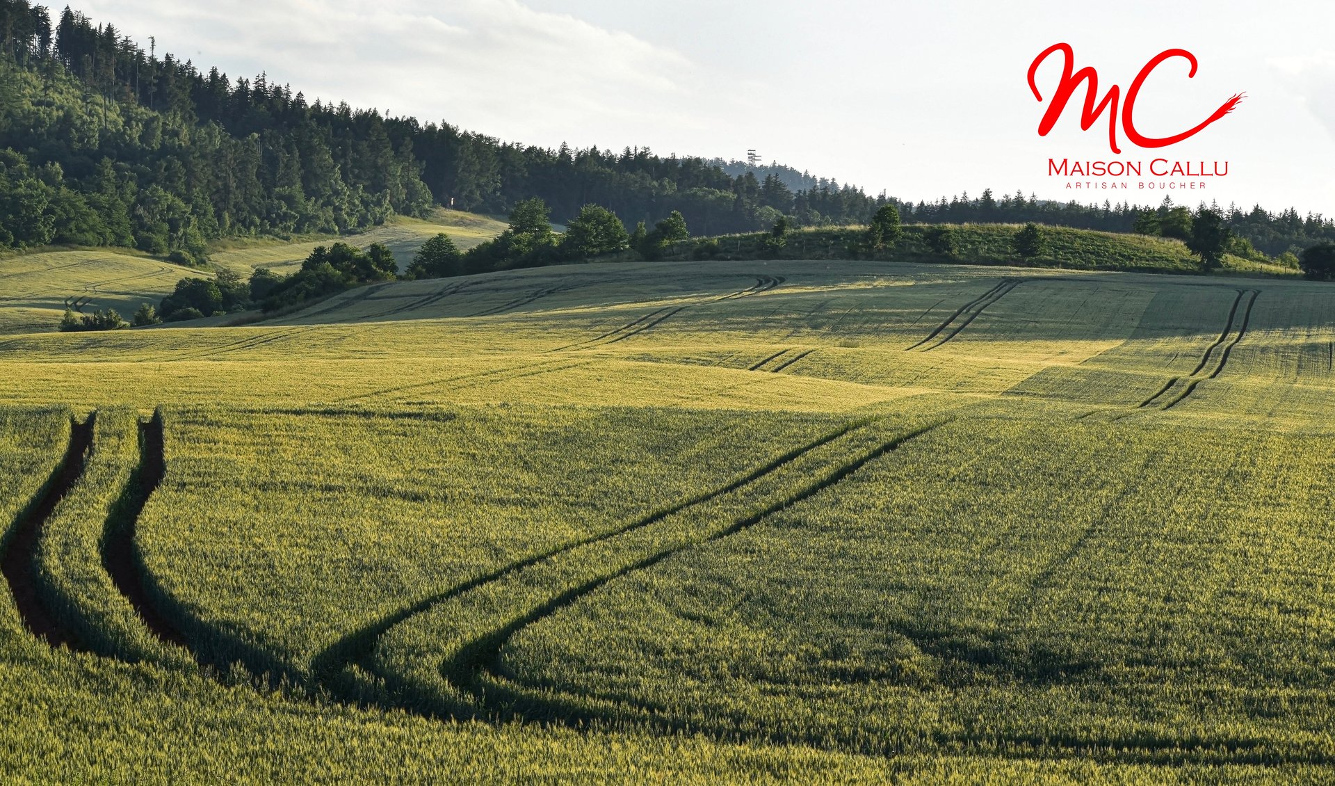 mountain range under blue sky