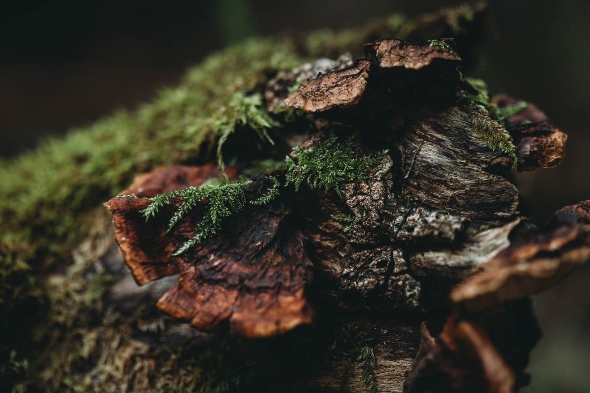 aerial view of rock cliffs under cloudy sky