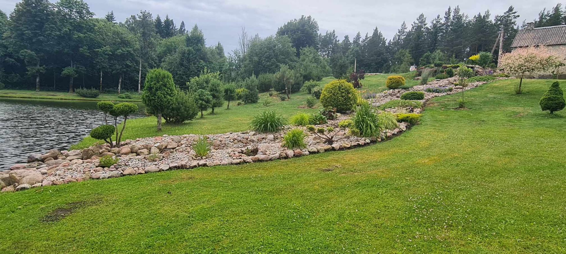 woman wearing yellow long-sleeved dress under white clouds and blue sky during daytime