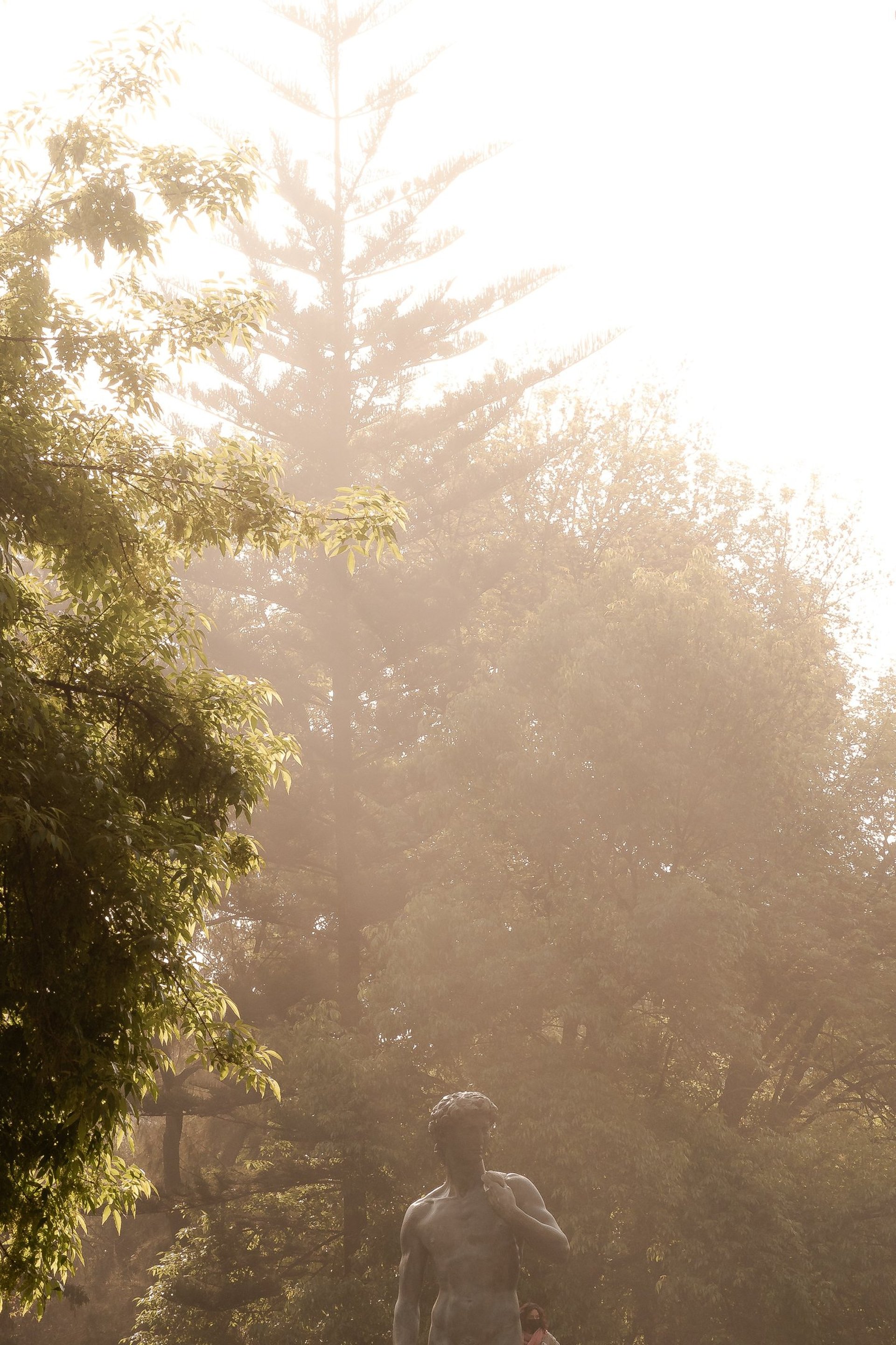 Candia Daniela fotografía de boda en Guadalajara y CDMX, sesiones en CDMX y Guadalajara, fotografía de boda destino