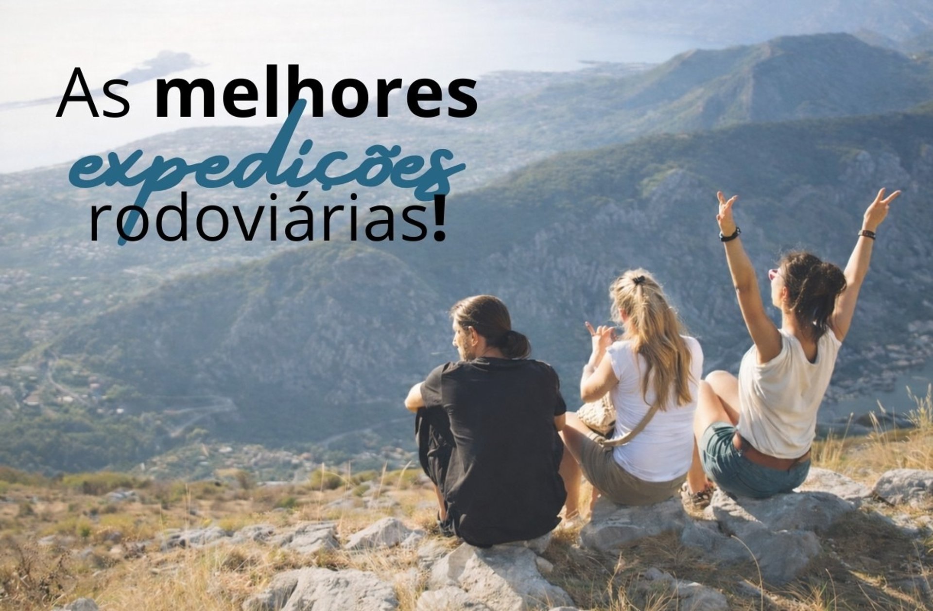 black and brown leather padded tub sofa