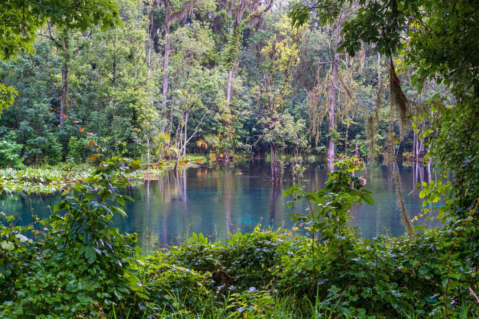 The Silver River at Silver Springs State Park