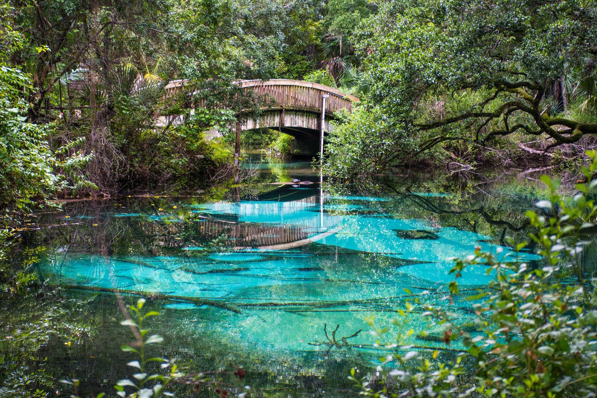 Natural clear fresh water oasis at near Rainbow Springs in central Florida, north of Orlando