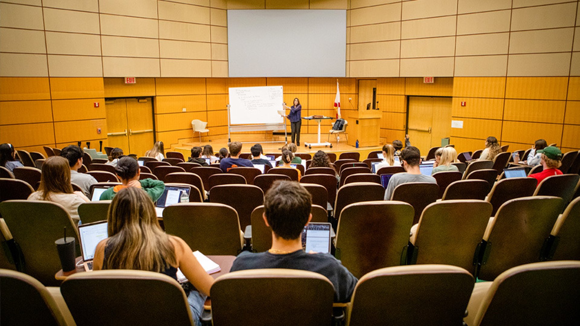 black and brown leather padded tub sofa