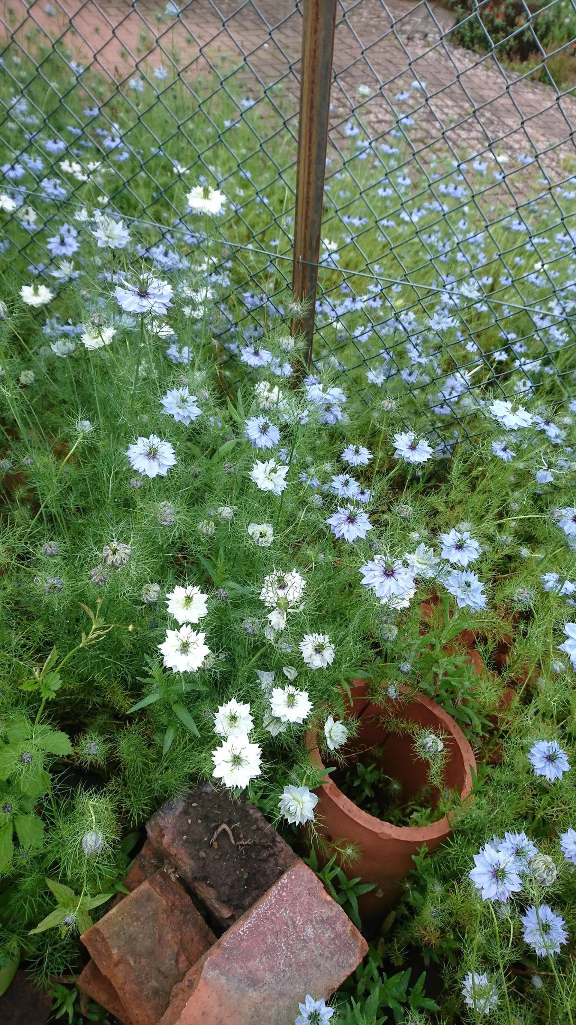 gray computer monitor