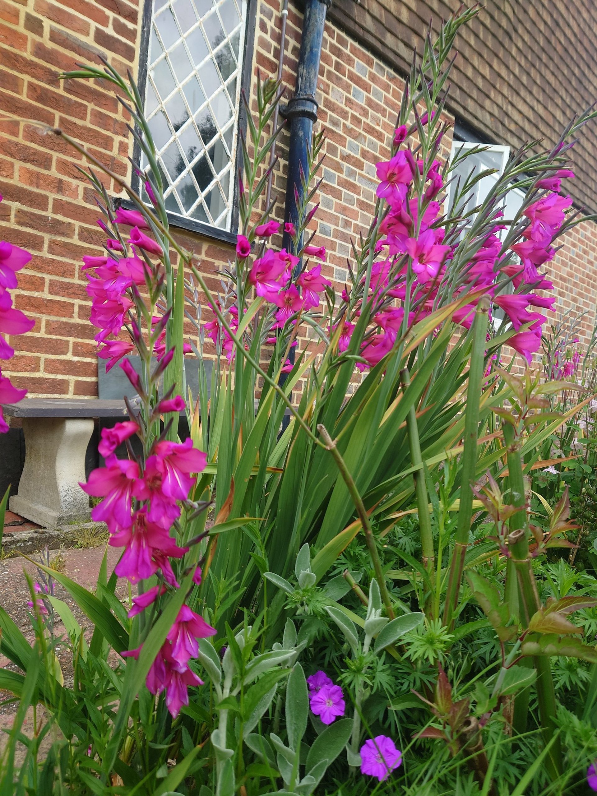 woman wearing yellow long-sleeved dress under white clouds and blue sky during daytime