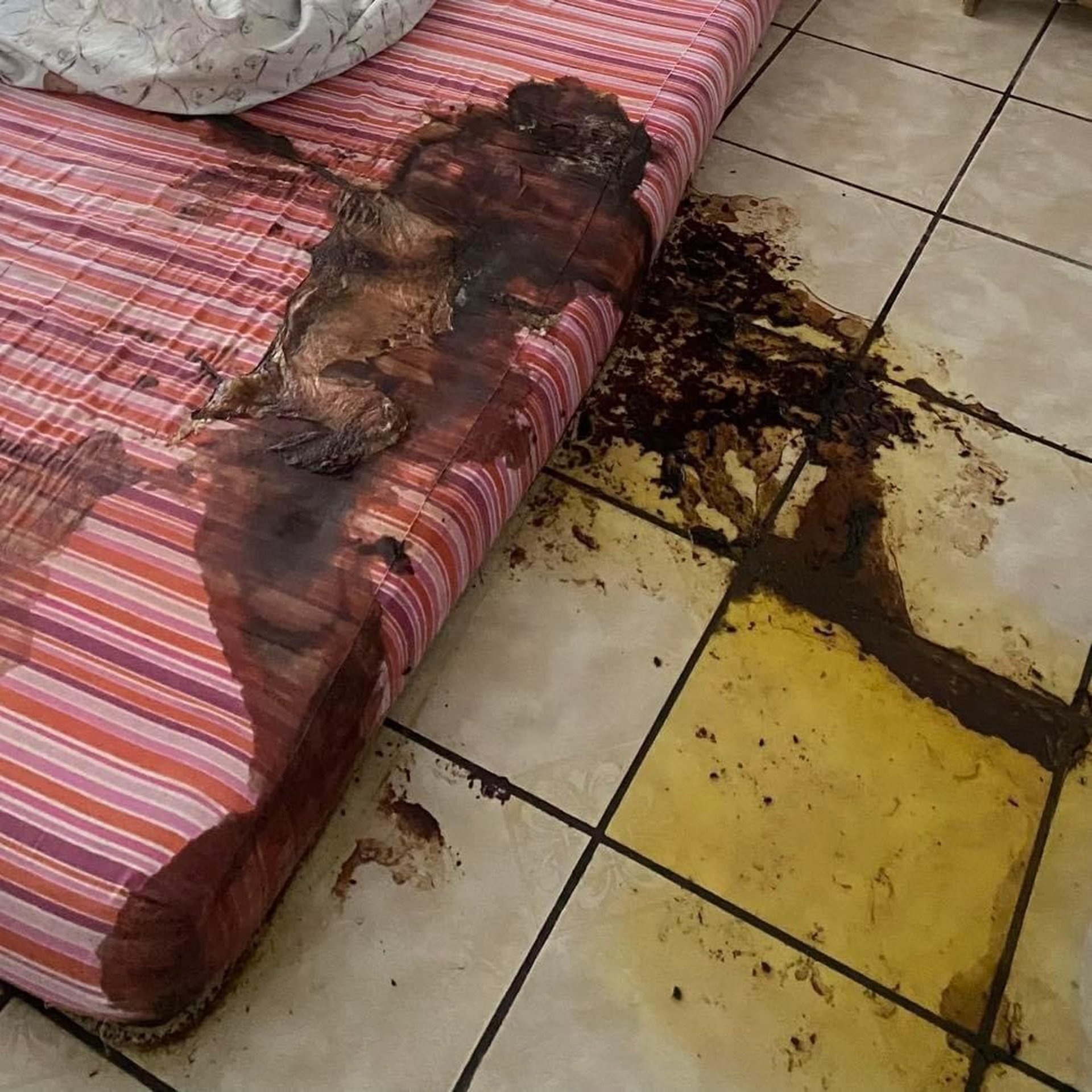 a flock of pigeons sitting on top of a building