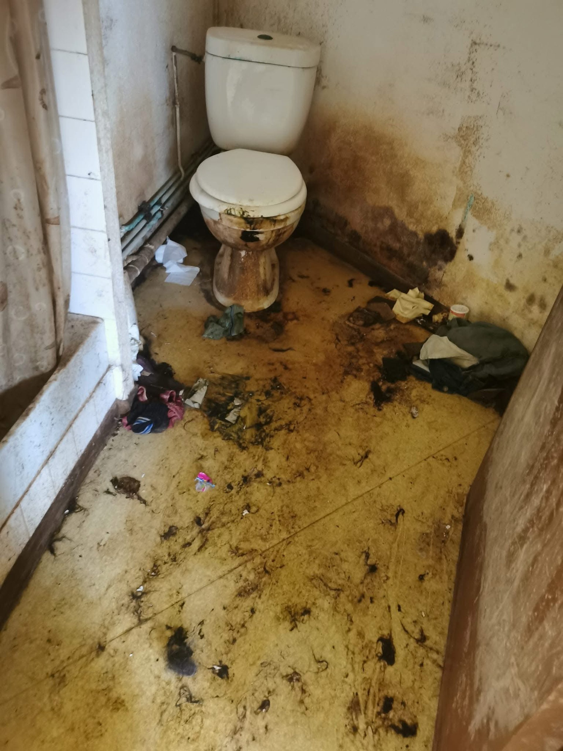 a flock of pigeons sitting on top of a building