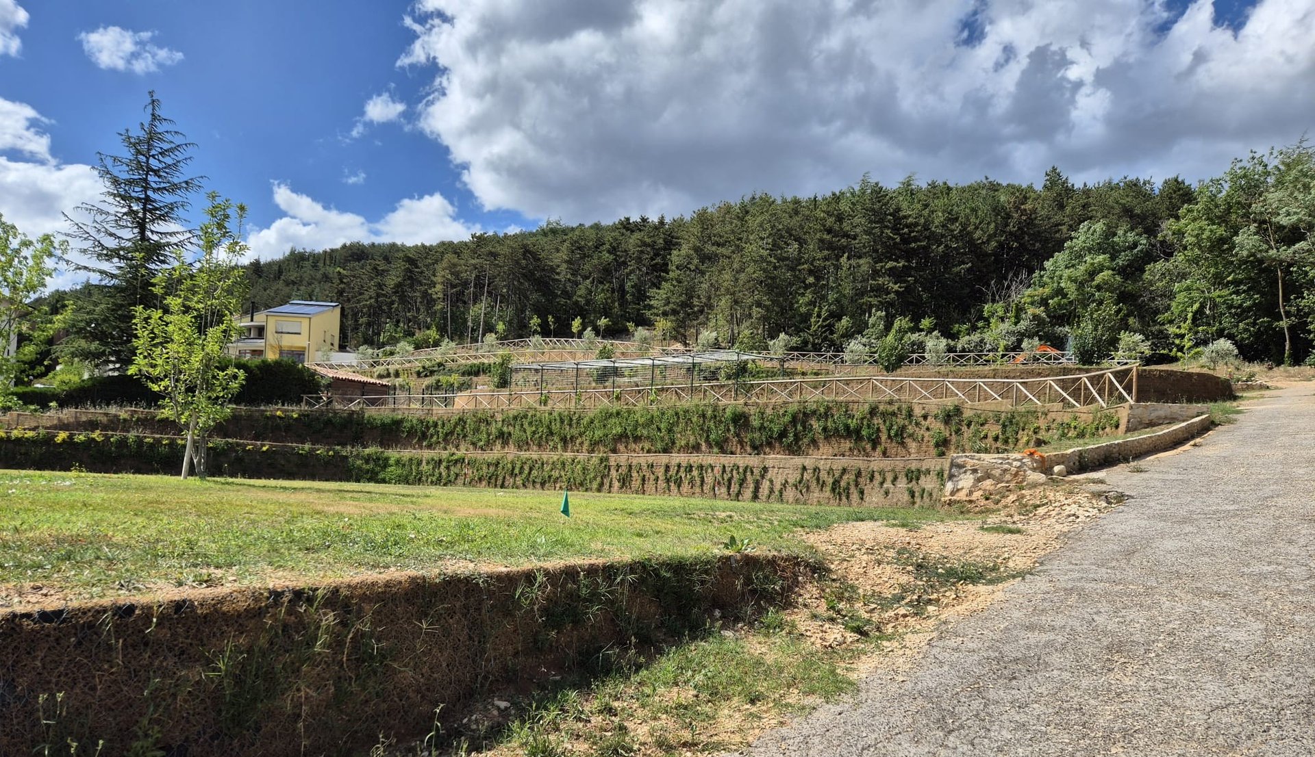 black and white bed linen
