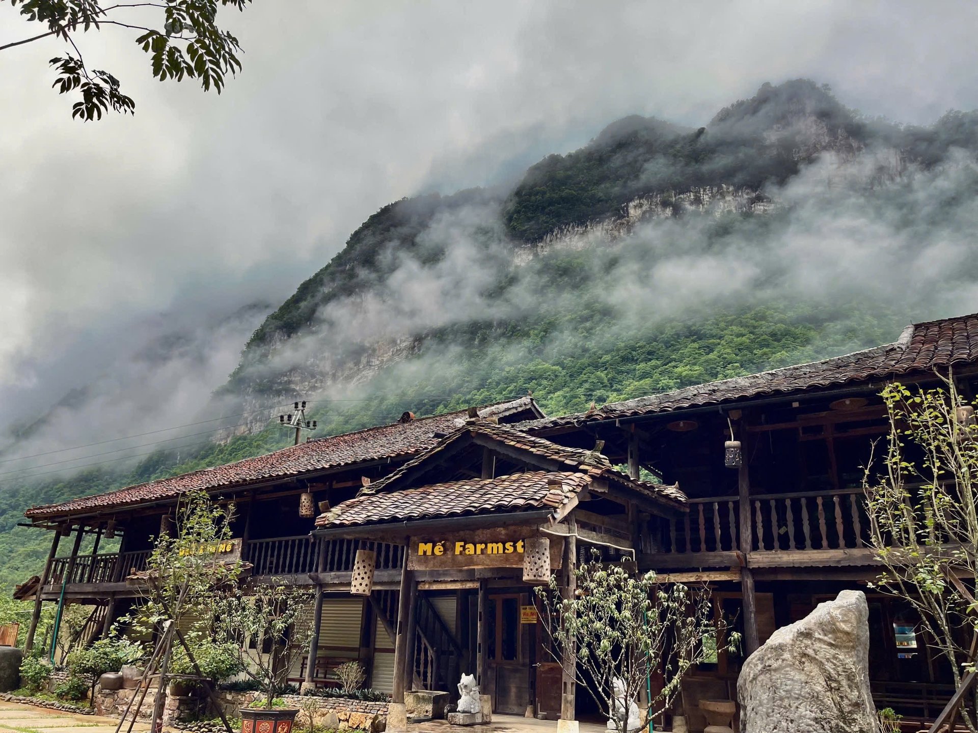black and brown leather padded tub sofa