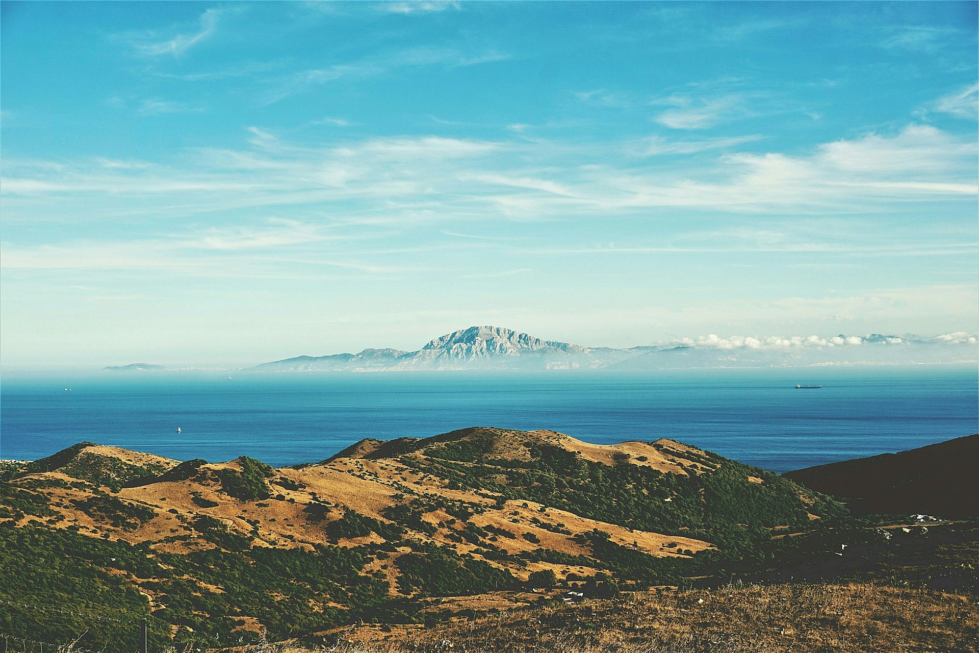 black and brown leather padded tub sofa