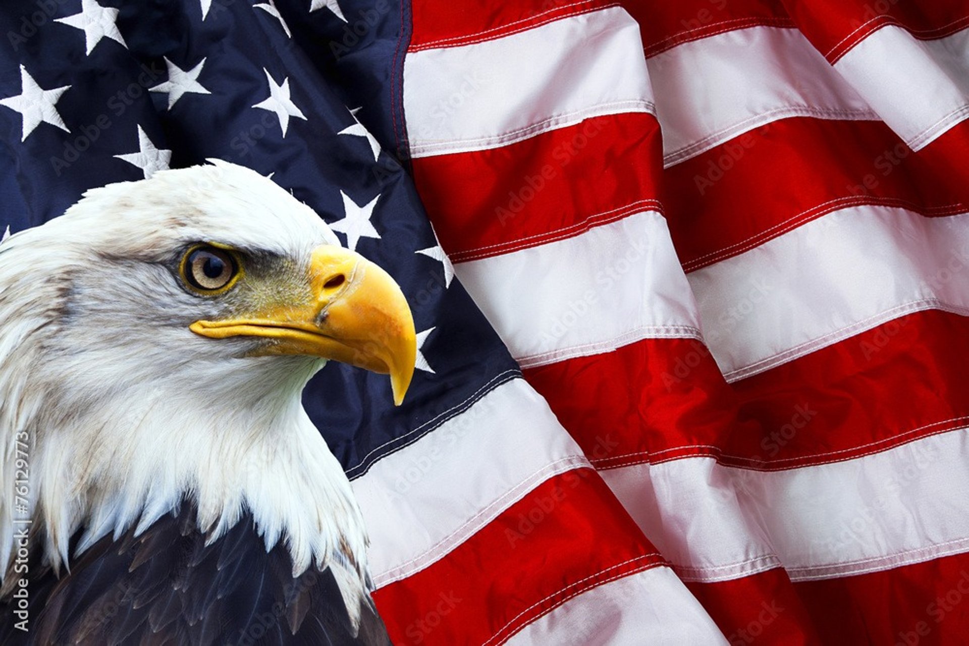 us a flag on pole