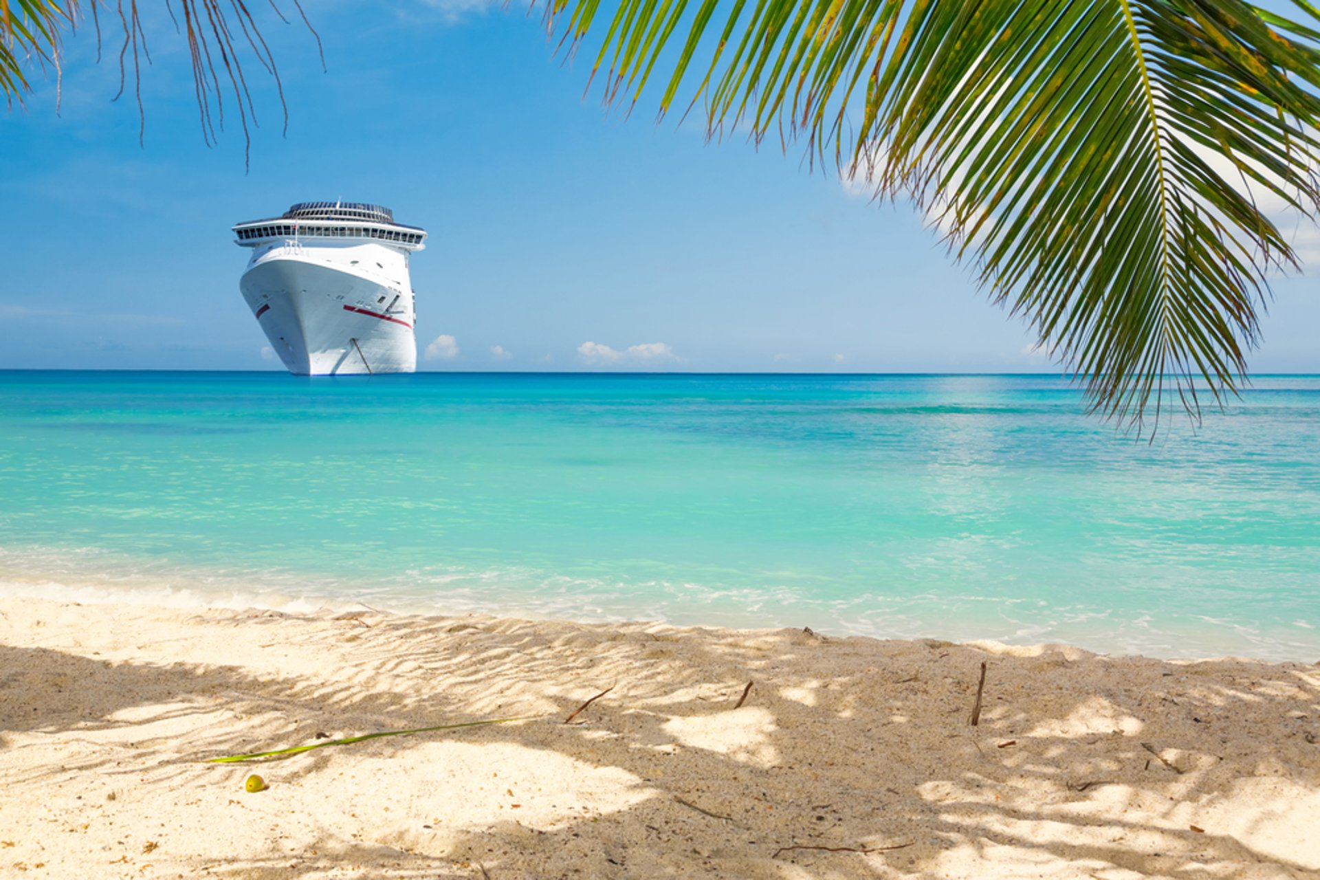 white cruise ship]