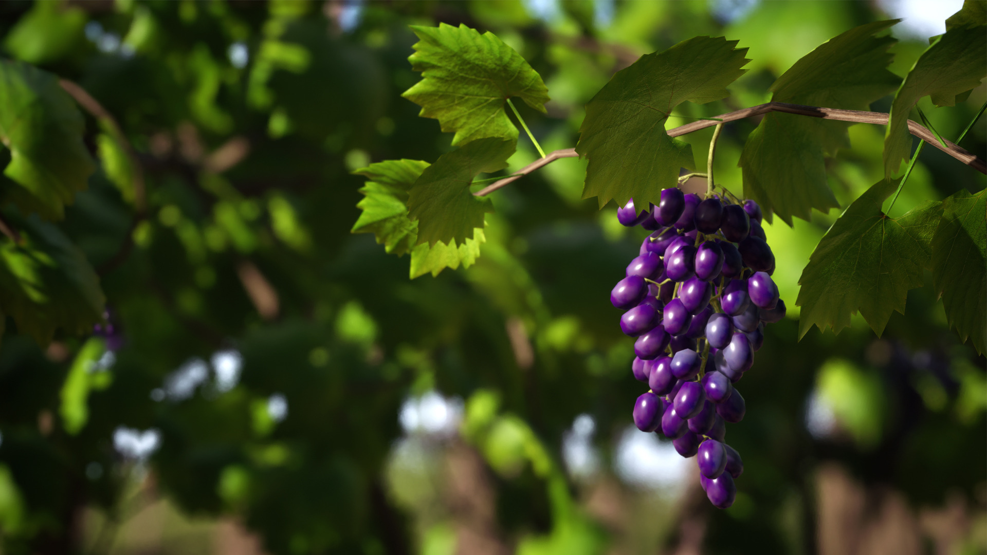 an abstract photo of a curved building with a blue sky in the background