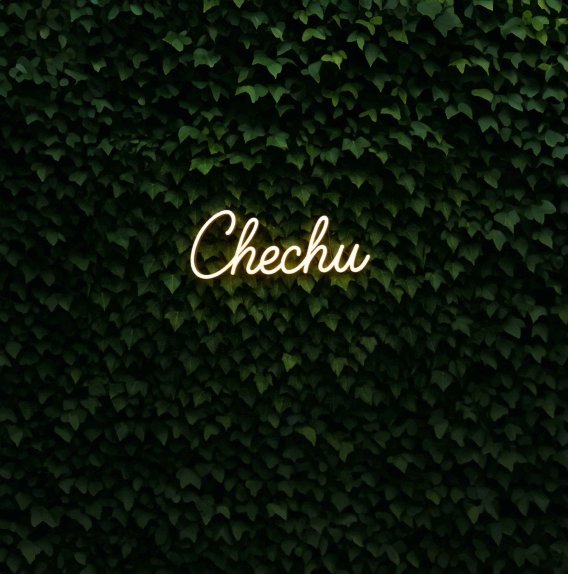 a close up of a black and brown abstract painting