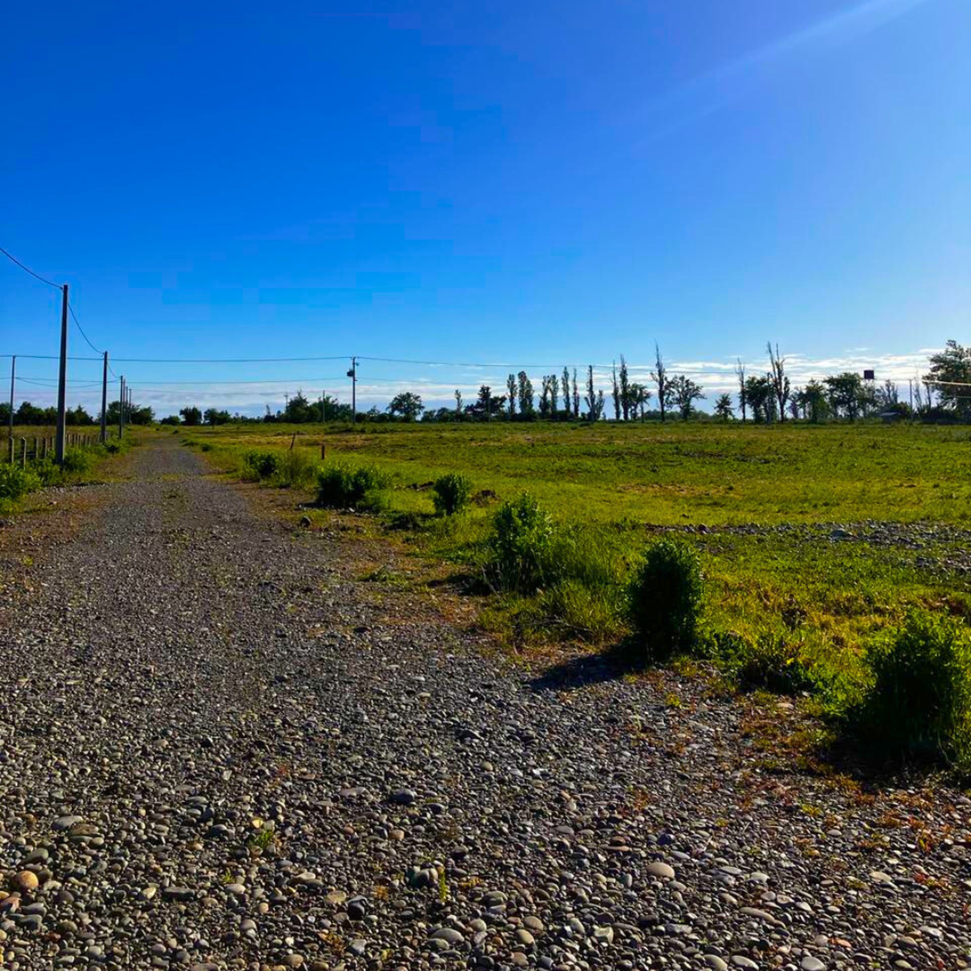 landscape photography of green land under bluesky