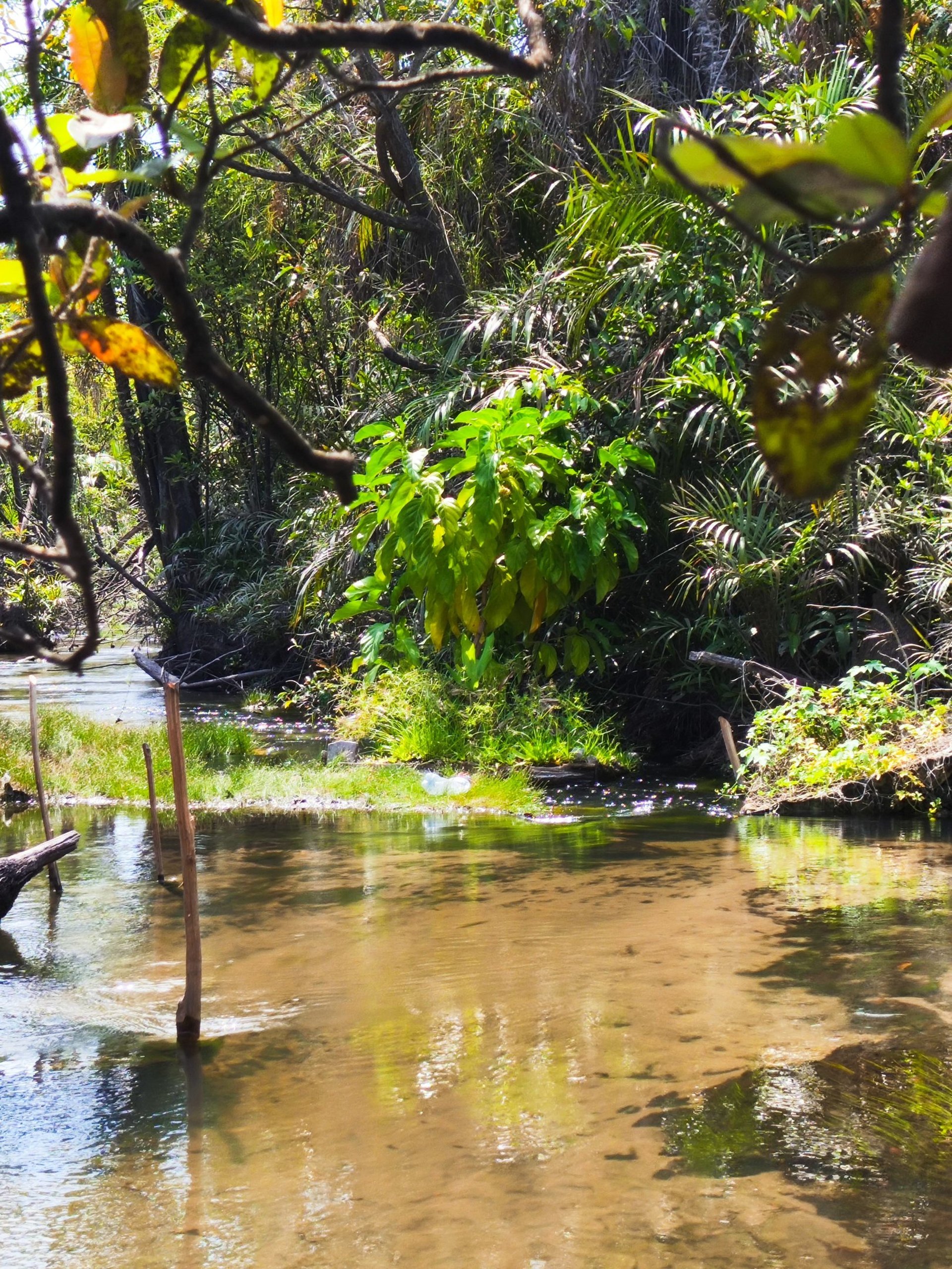gray computer monitor