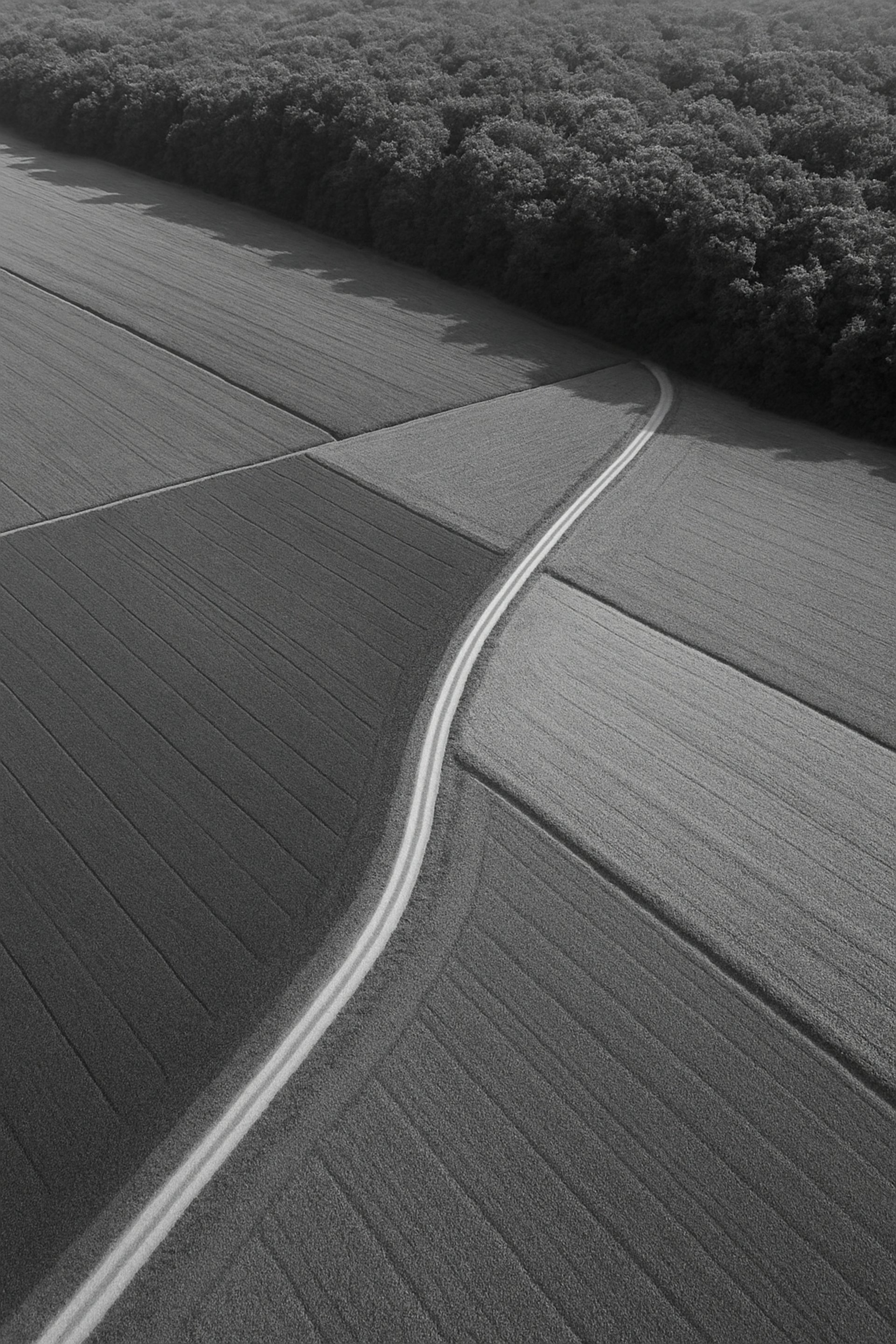 black and white bed linen