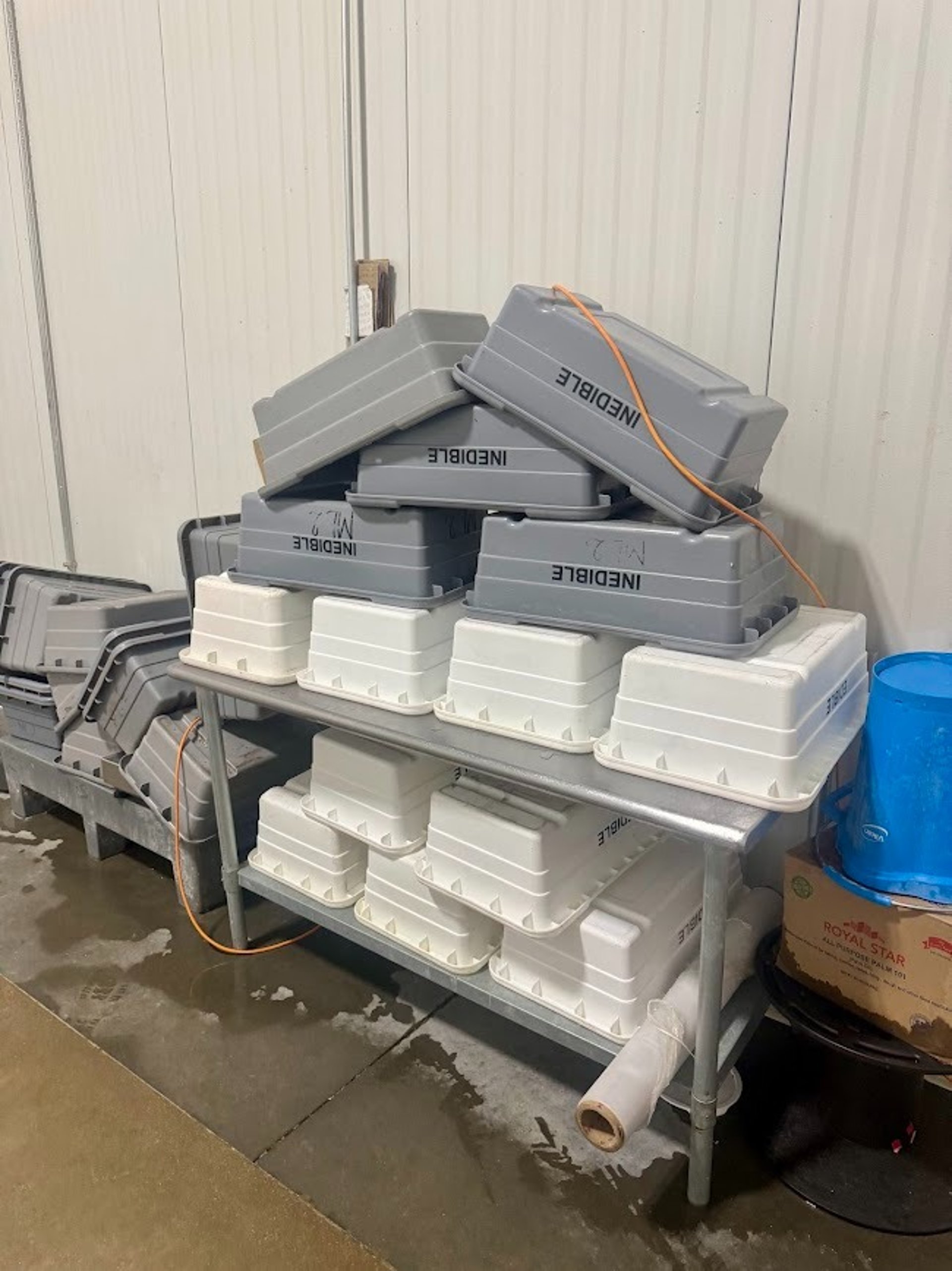 CONTAINER SANITATION AND CLEANING