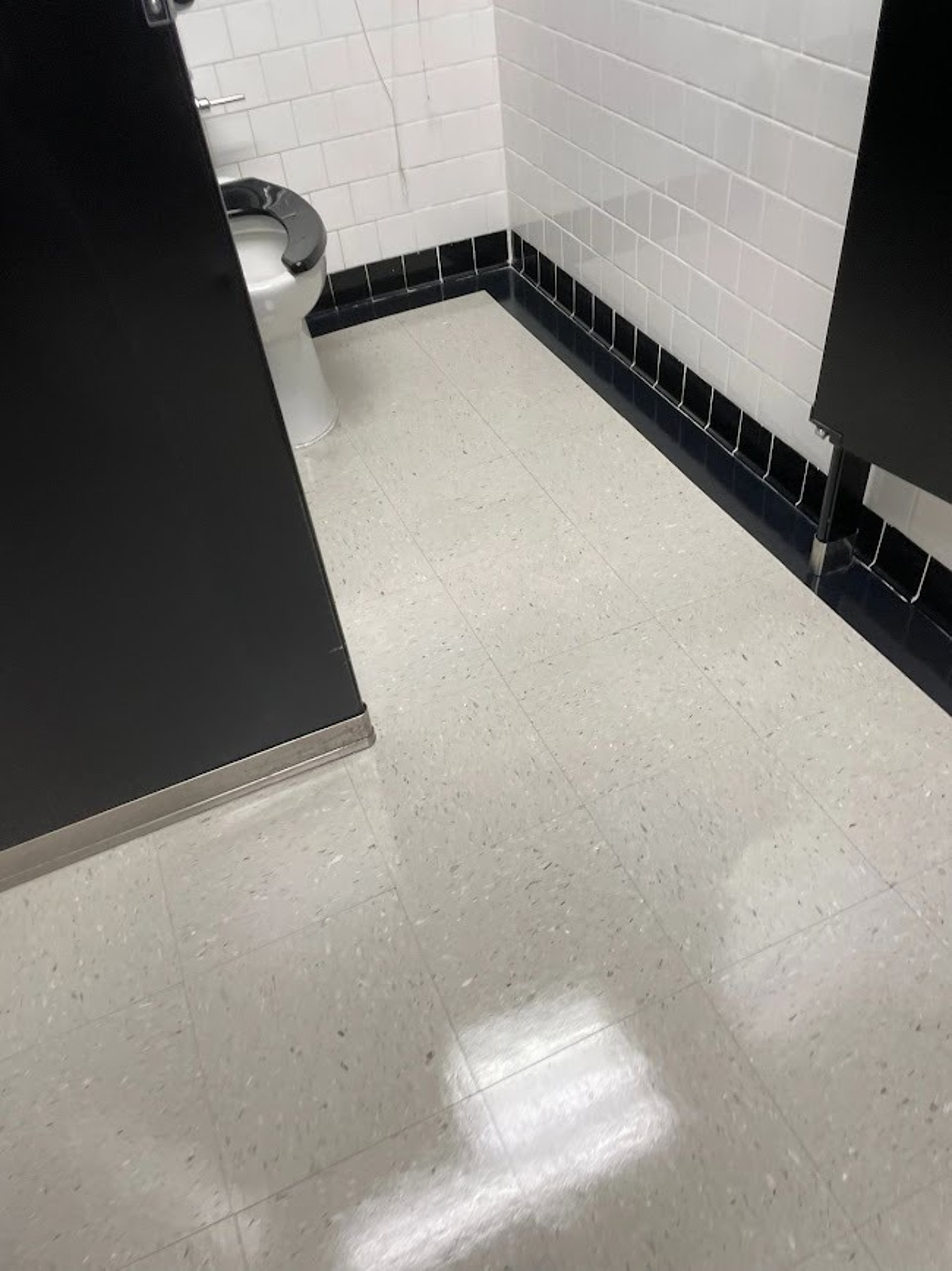 PROFESSIONAL JANITORIAL SERICES BATHROOM SPARKLING CLEAN PRECISION CLEANING SERVICES