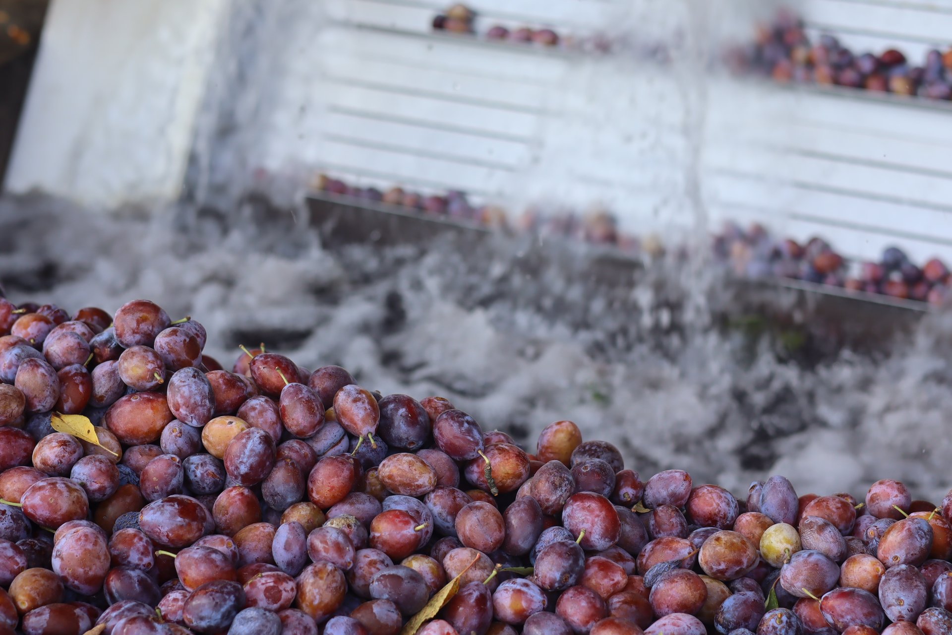 black and white bed linen