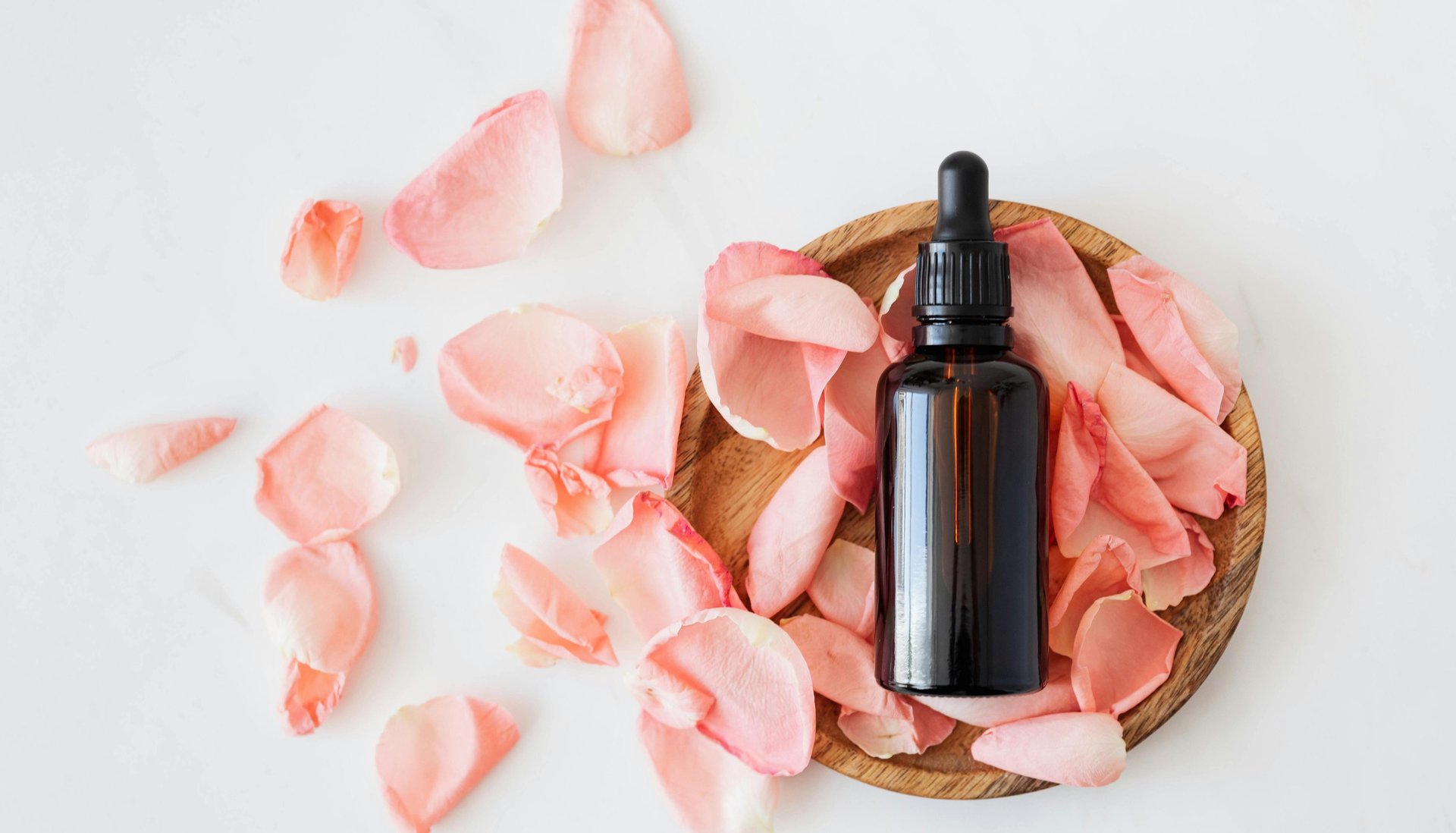 A purple flower floating on top of a pond of water