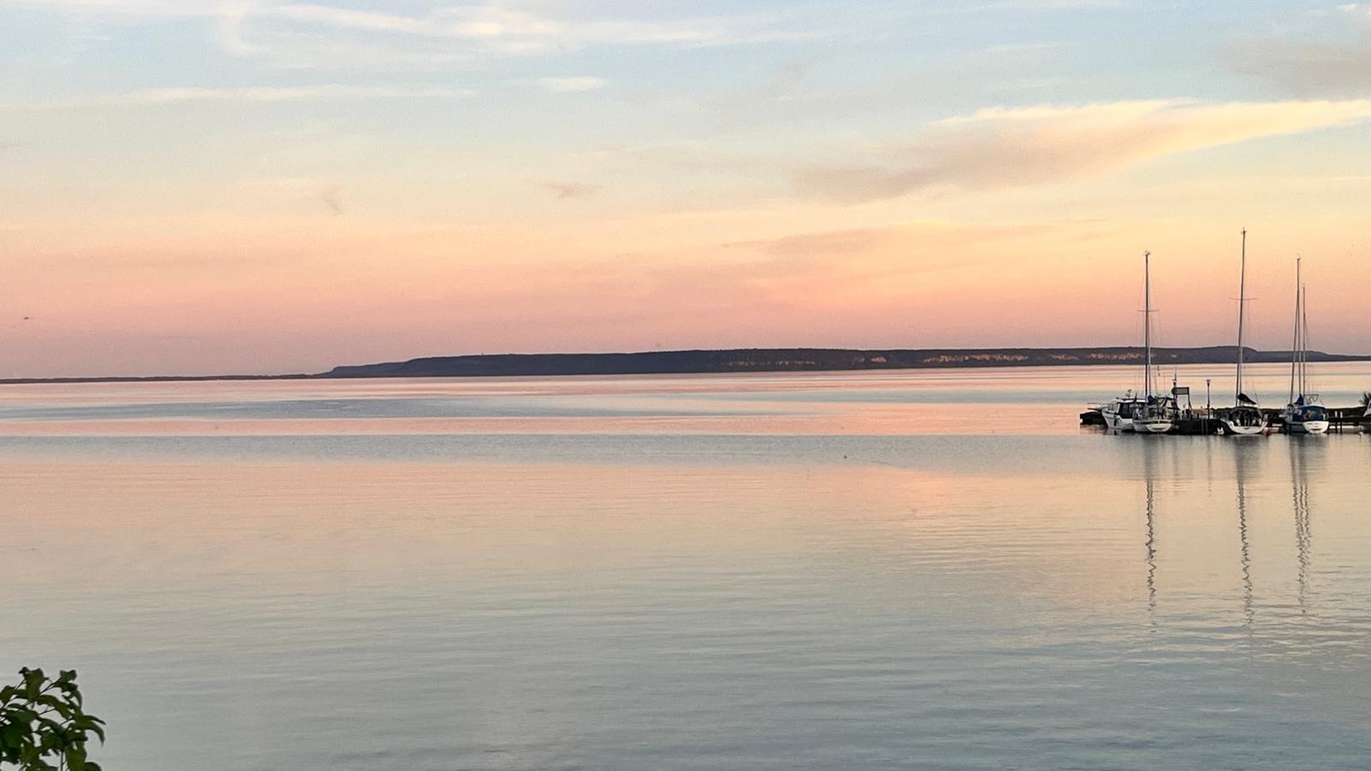 black and brown leather padded tub sofa