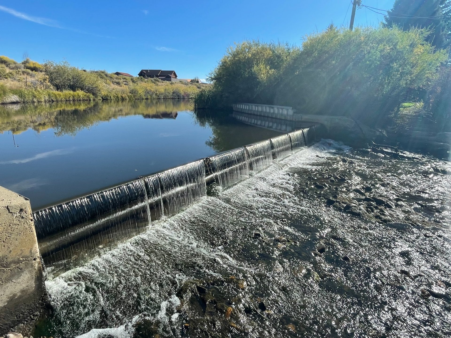 black and brown leather padded tub sofa