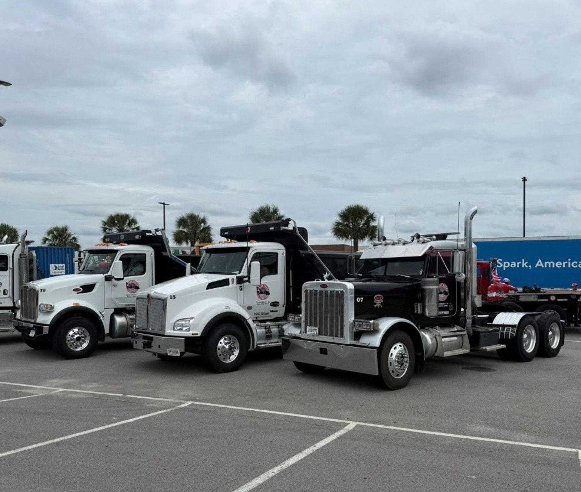 black and white bed linen