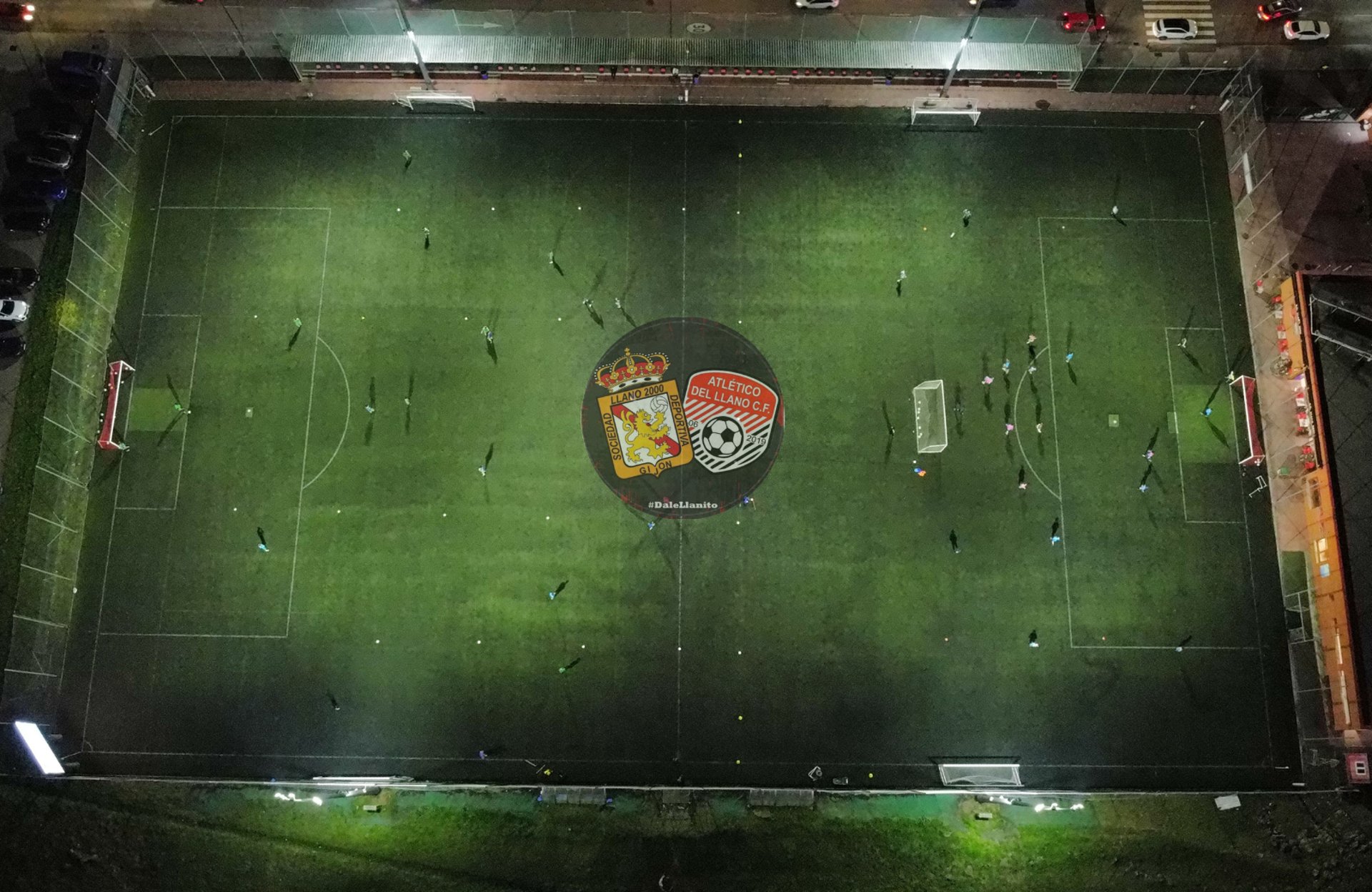 woman holding dried flower