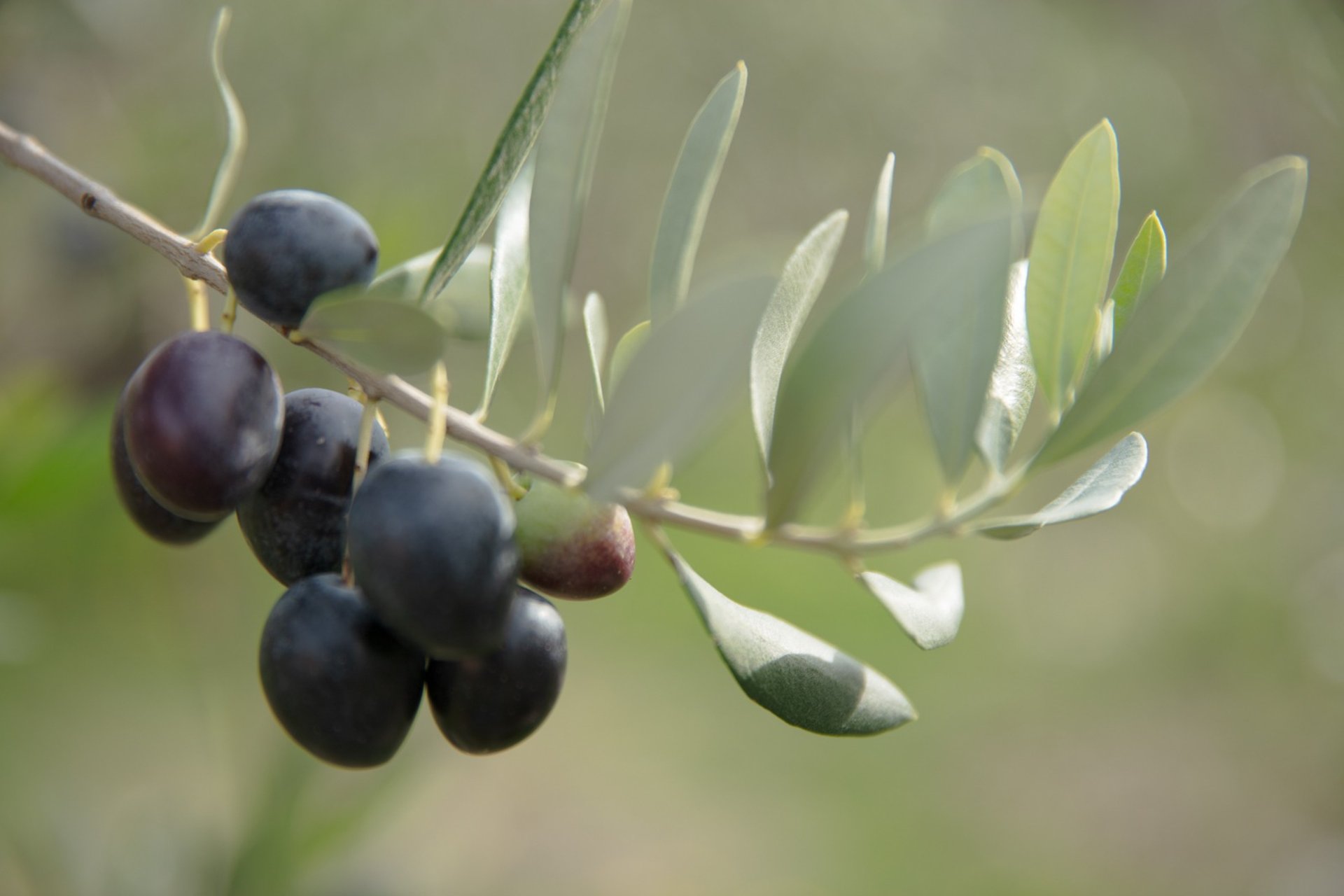 an abstract photo of a curved building with a blue sky in the background